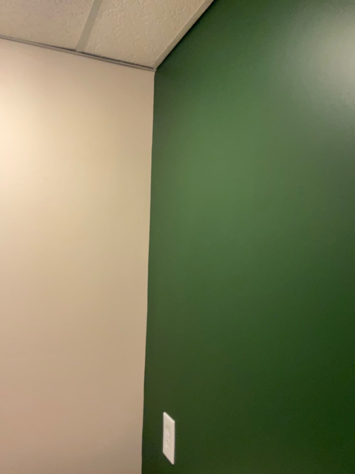 Warm and Welcoming Interior Refresh in Jenkintown by Groovy Hues