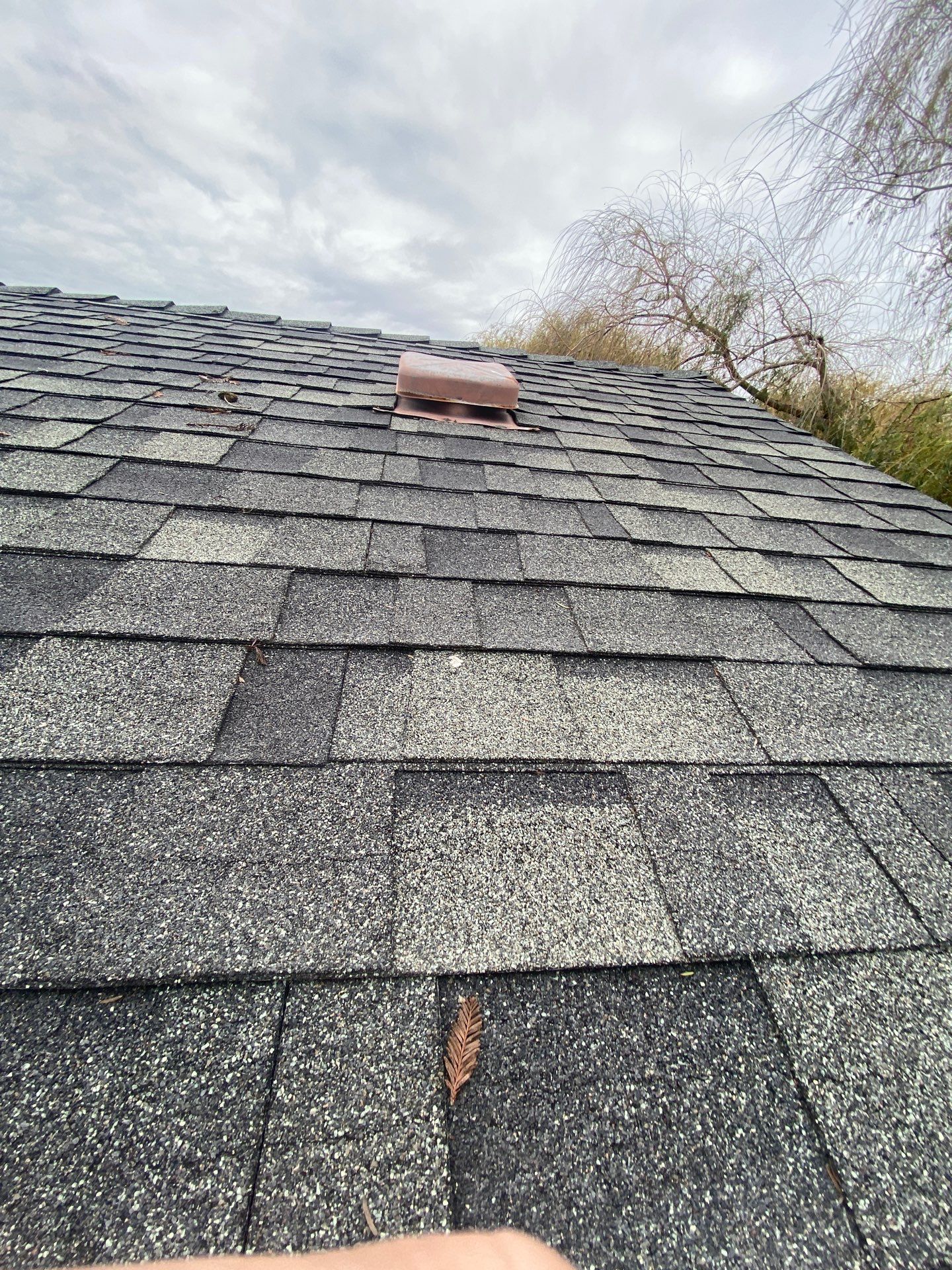Roof Rejuvenation using Roof Maxx Treatment by Roof Maxx of Folsom