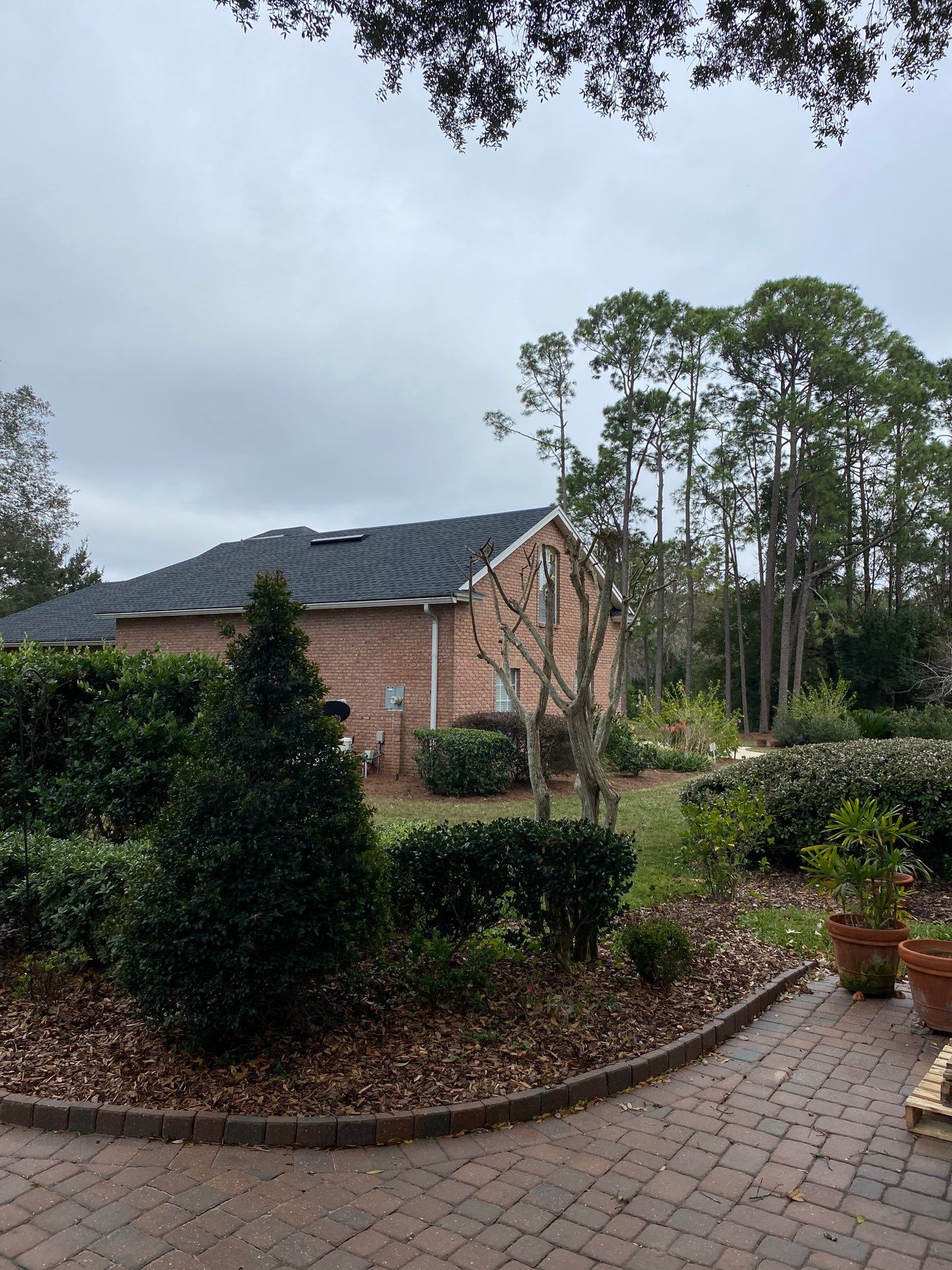 Deerwood Residence | Tree Trimming by ProGreen Services