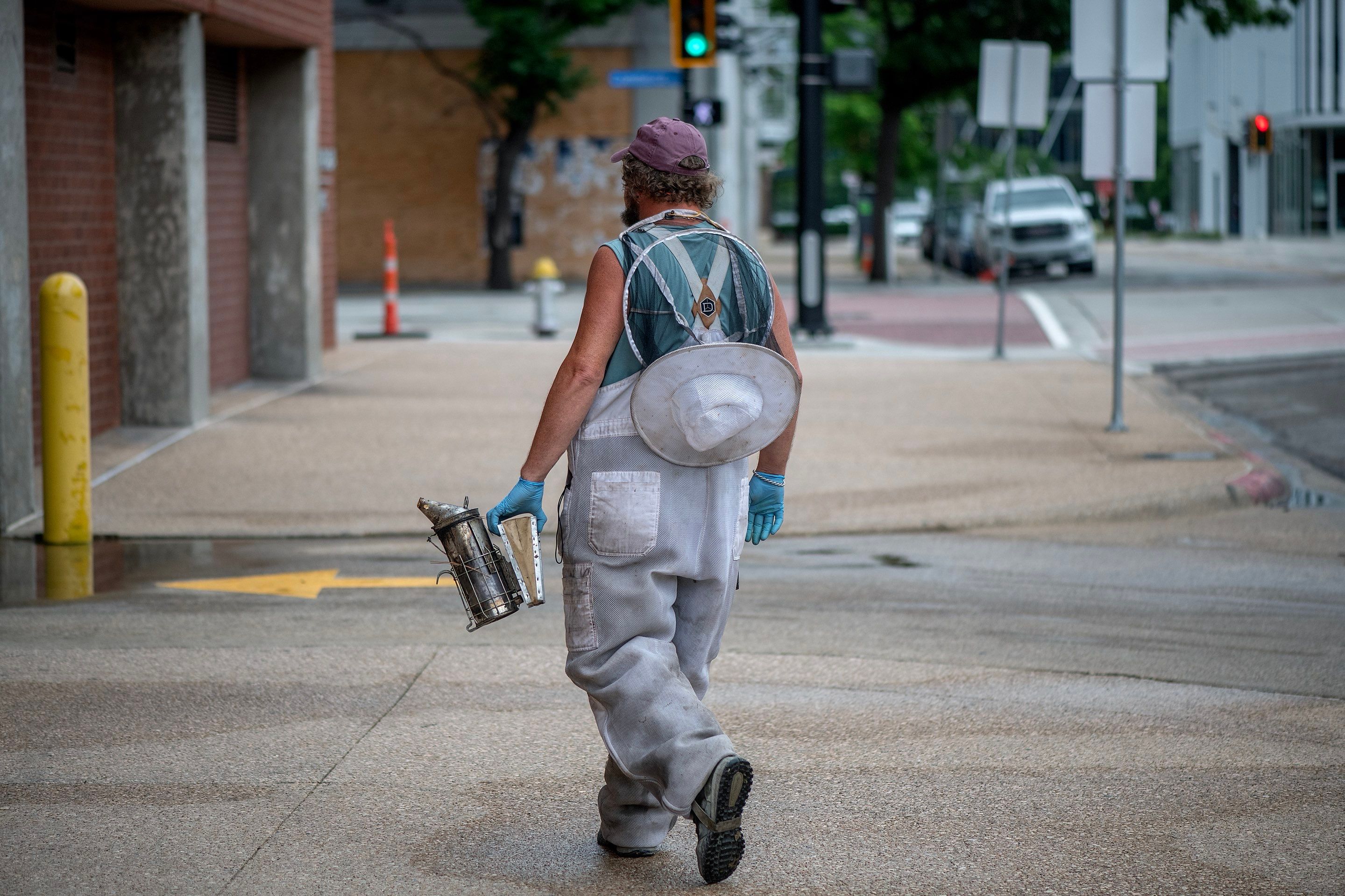 Urban Beekeeping in Dallas by Rockwall Honey Bee Company