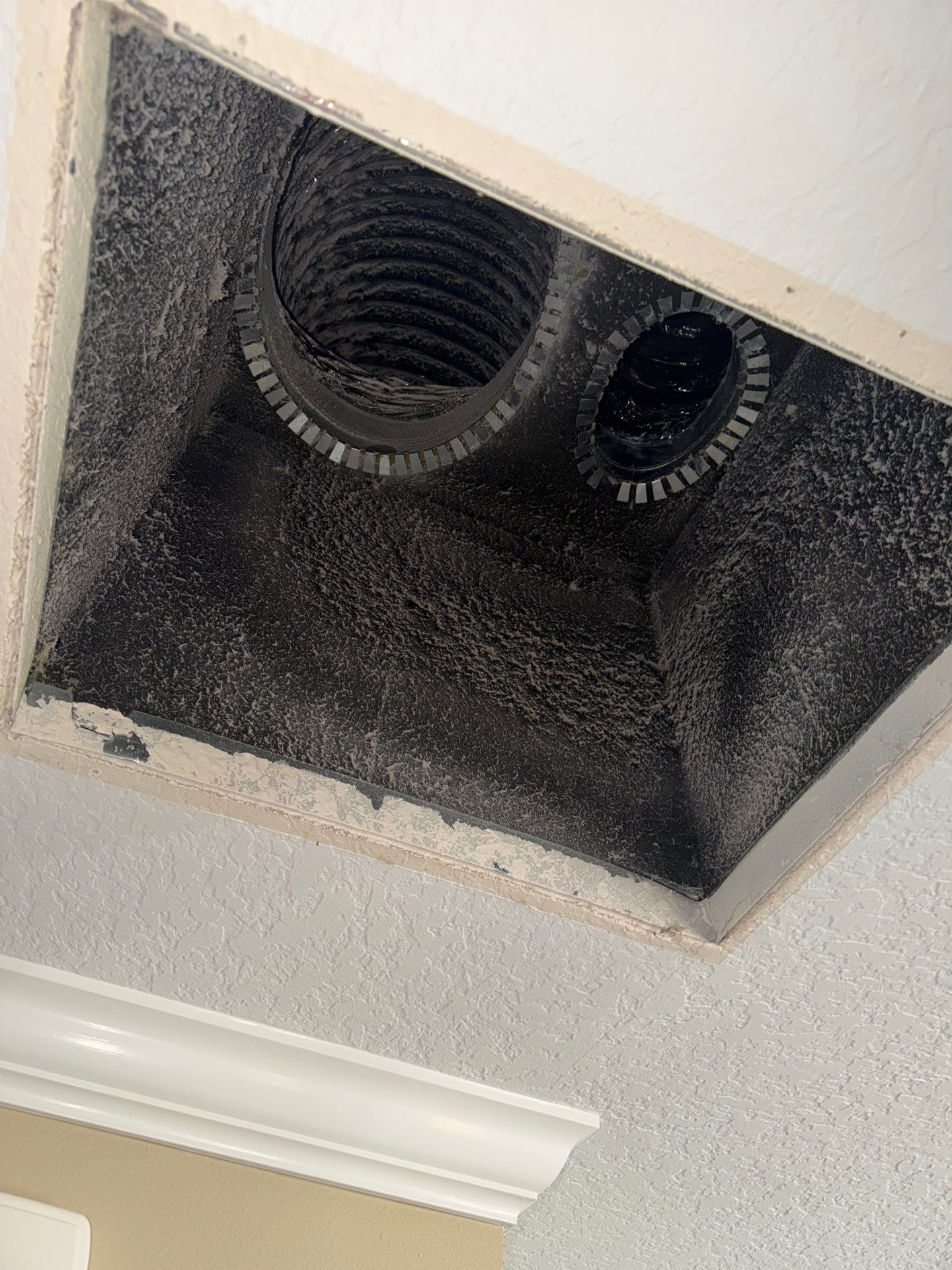 Air Duct Cleaning in The Villages by Hygienic Air, Inc