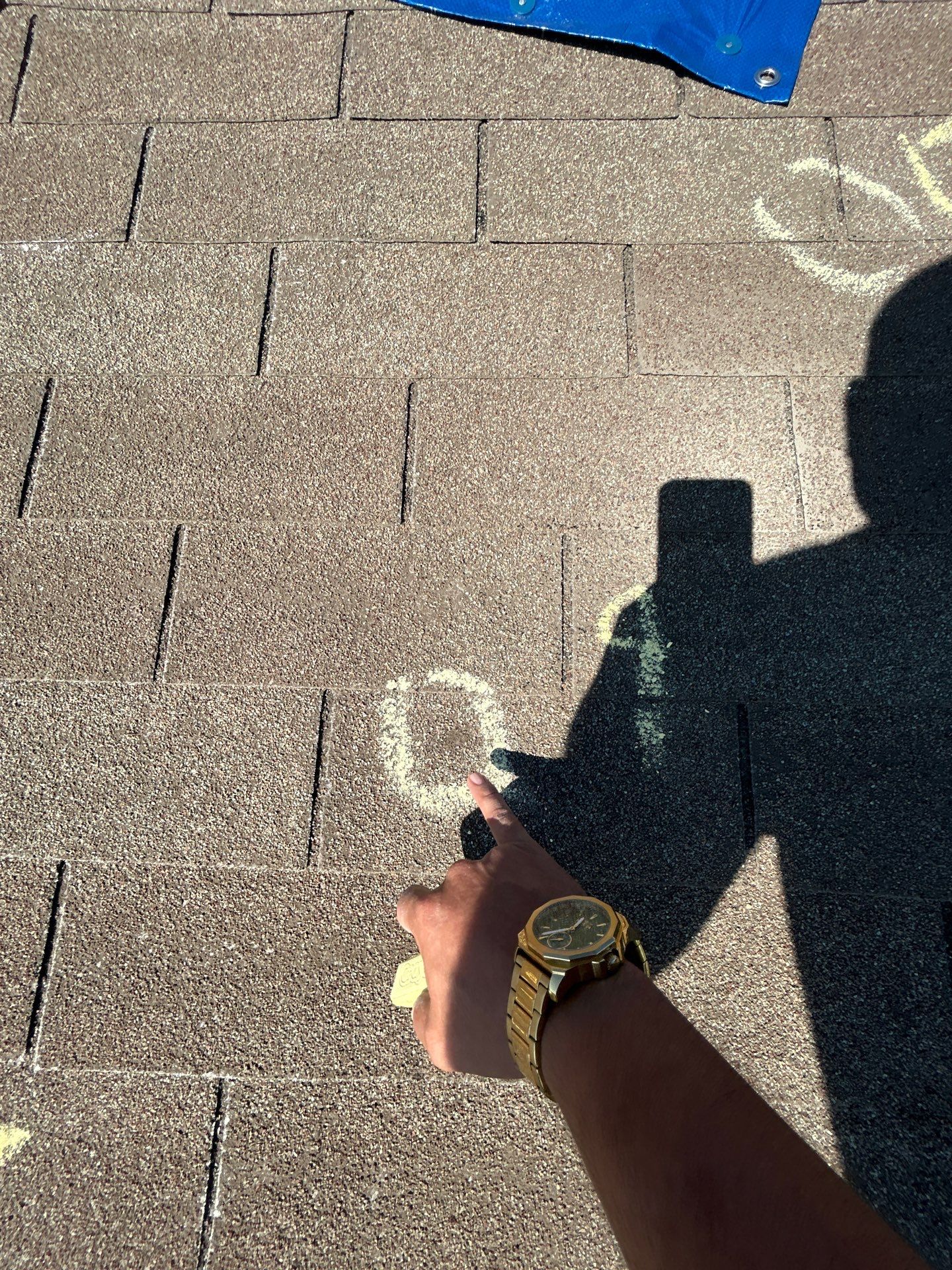 Miss Bridgette by REPS Austin Area Roofer