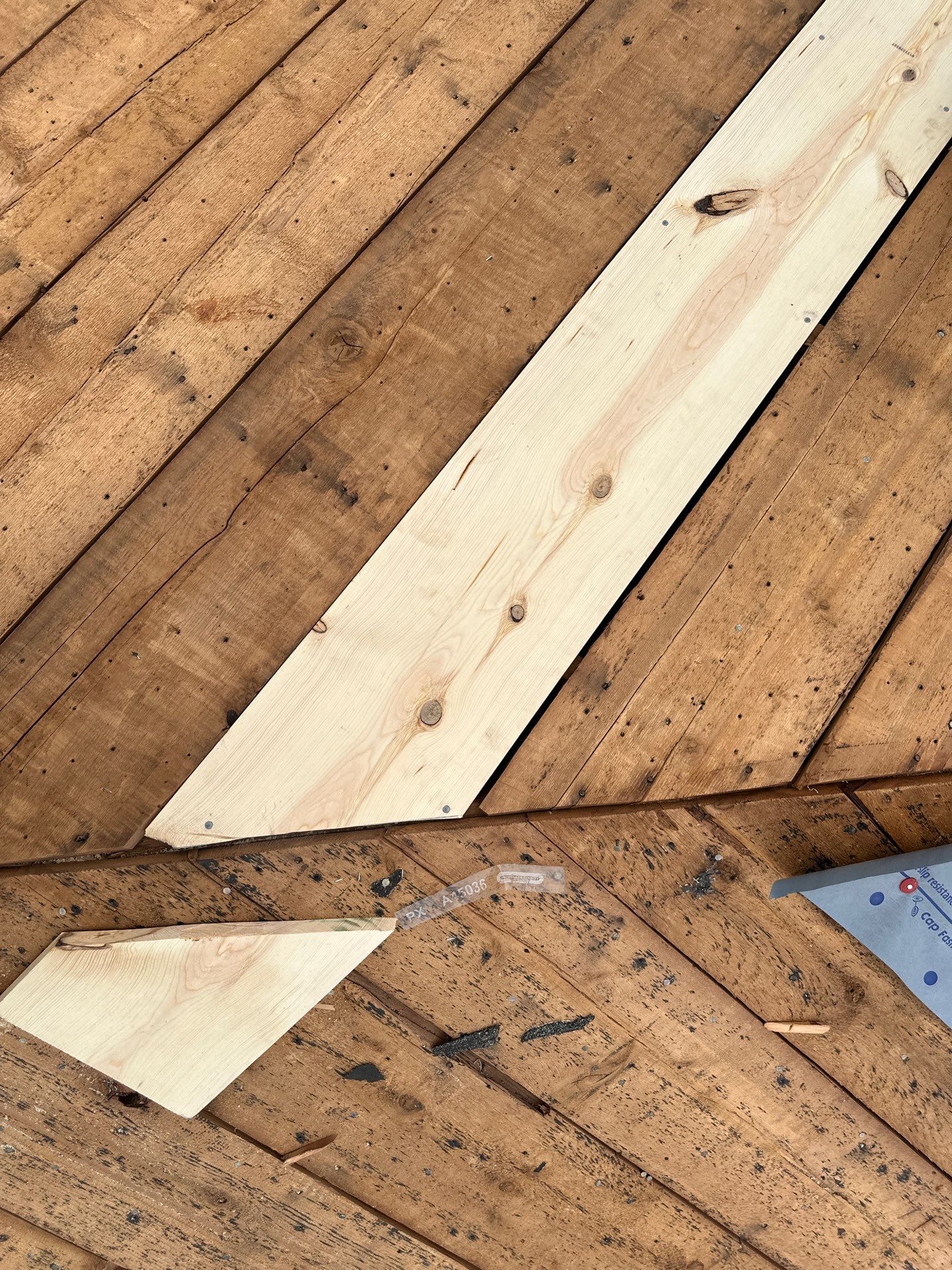 Residential Roofing Install - Atlas Pinnacle Pristine Shingles - Color Oyster Shell  by Titan Commercial & Residential Roofing 