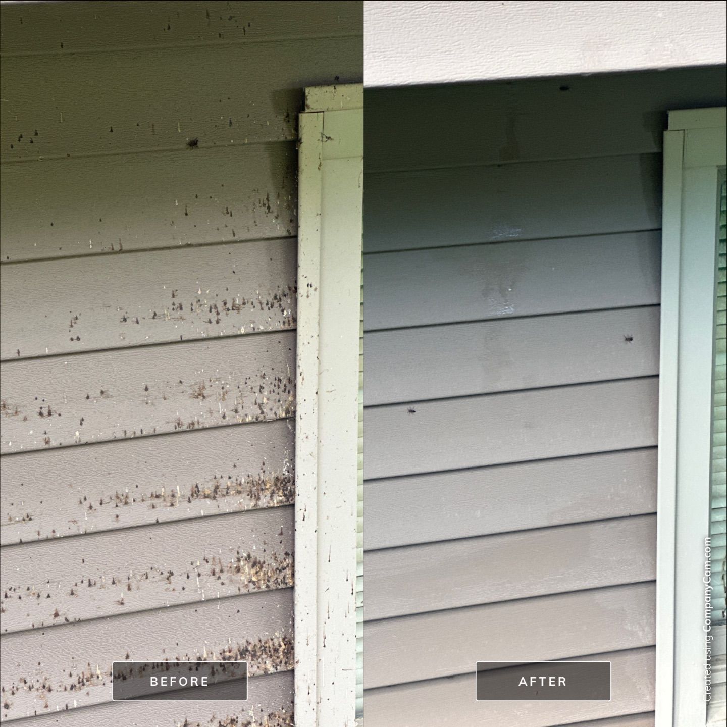 Project in Richmond by Simmons Power & Soft Washing