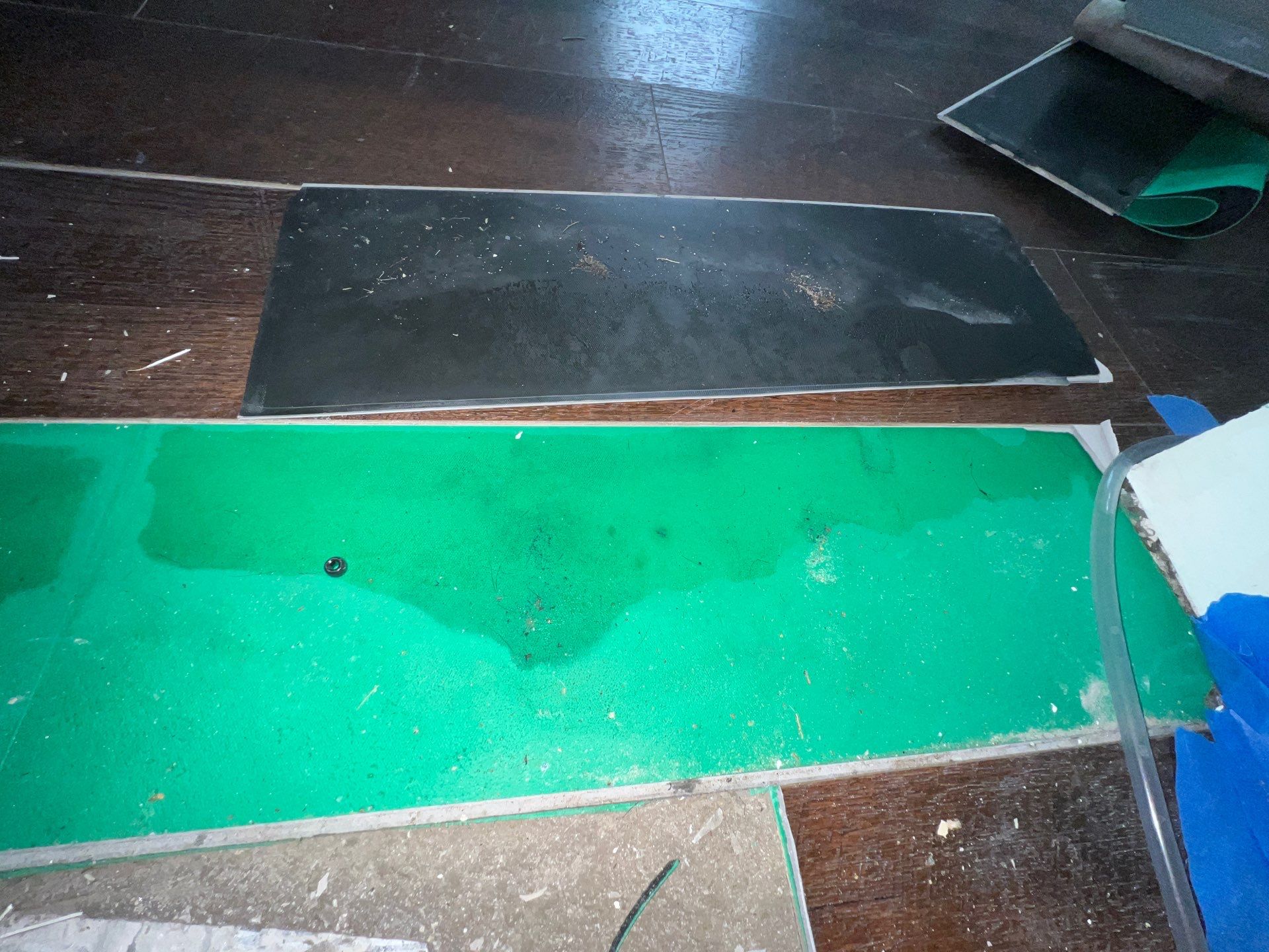 Stansell - water and mold photos  by THE RAPID TEAM