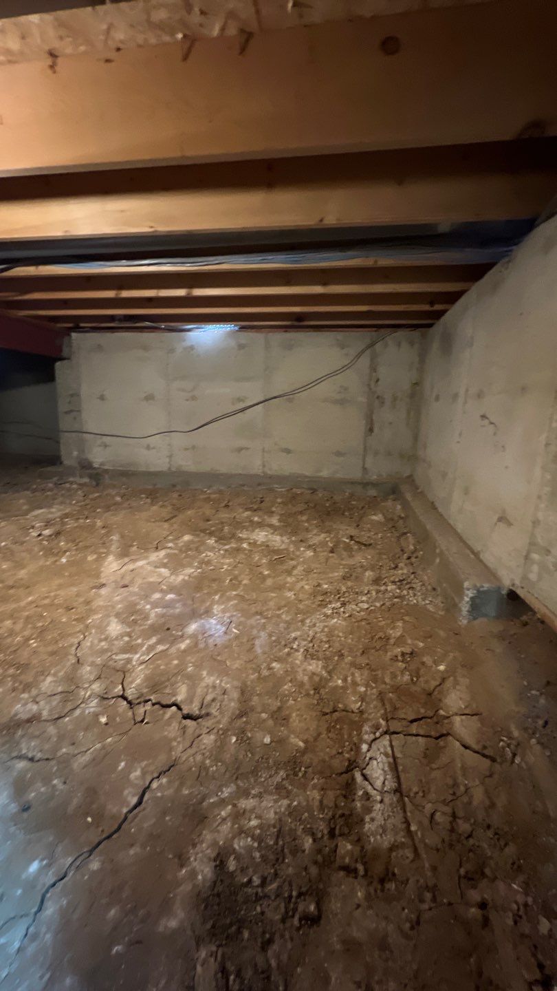 Mold Damage by Accountable Home Services