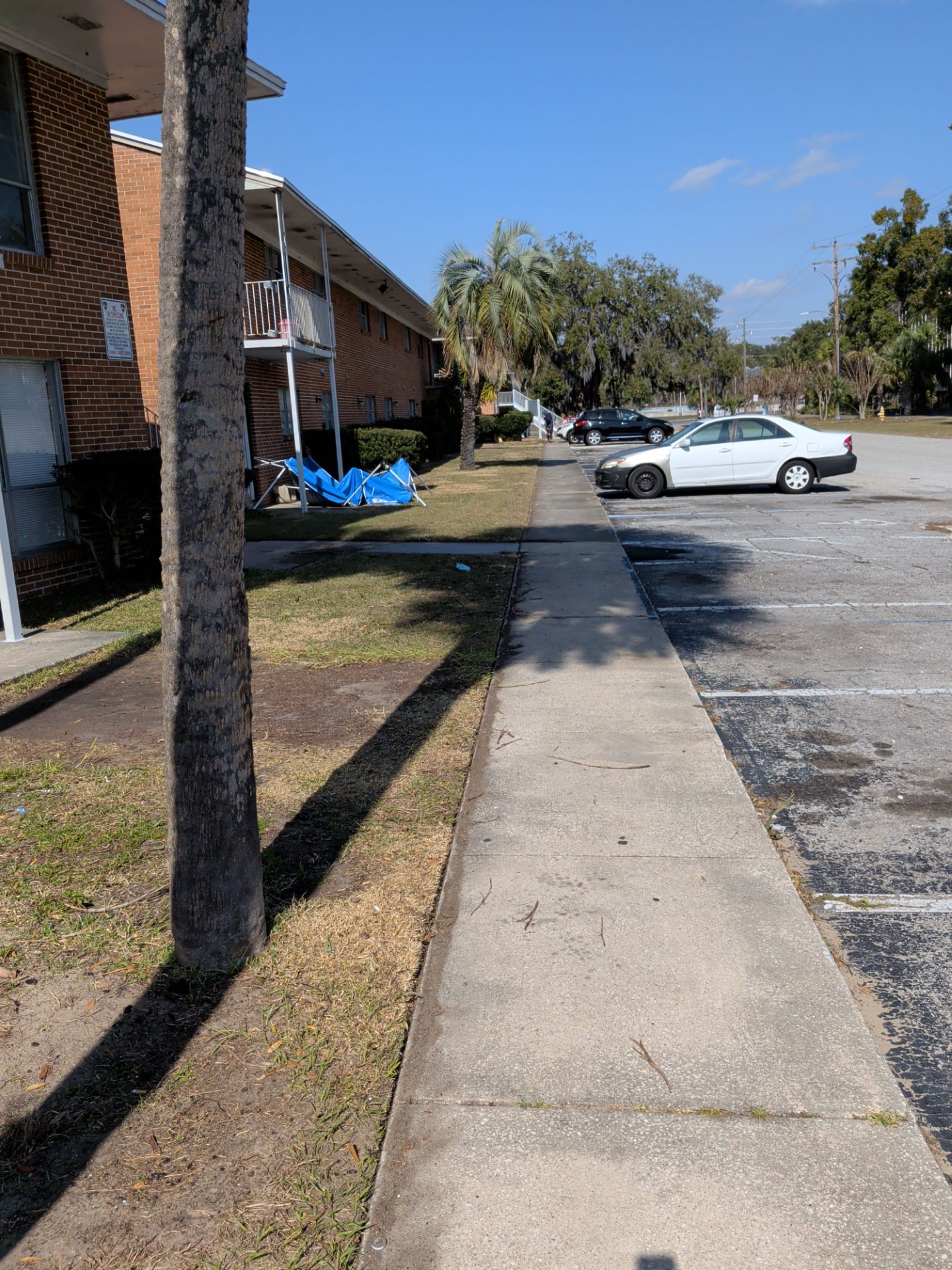 Apartment Landscape Cleanup & Ongoing Grounds Maintenance — Cimarron Apartments (Arlington) by Harmoni Home Services