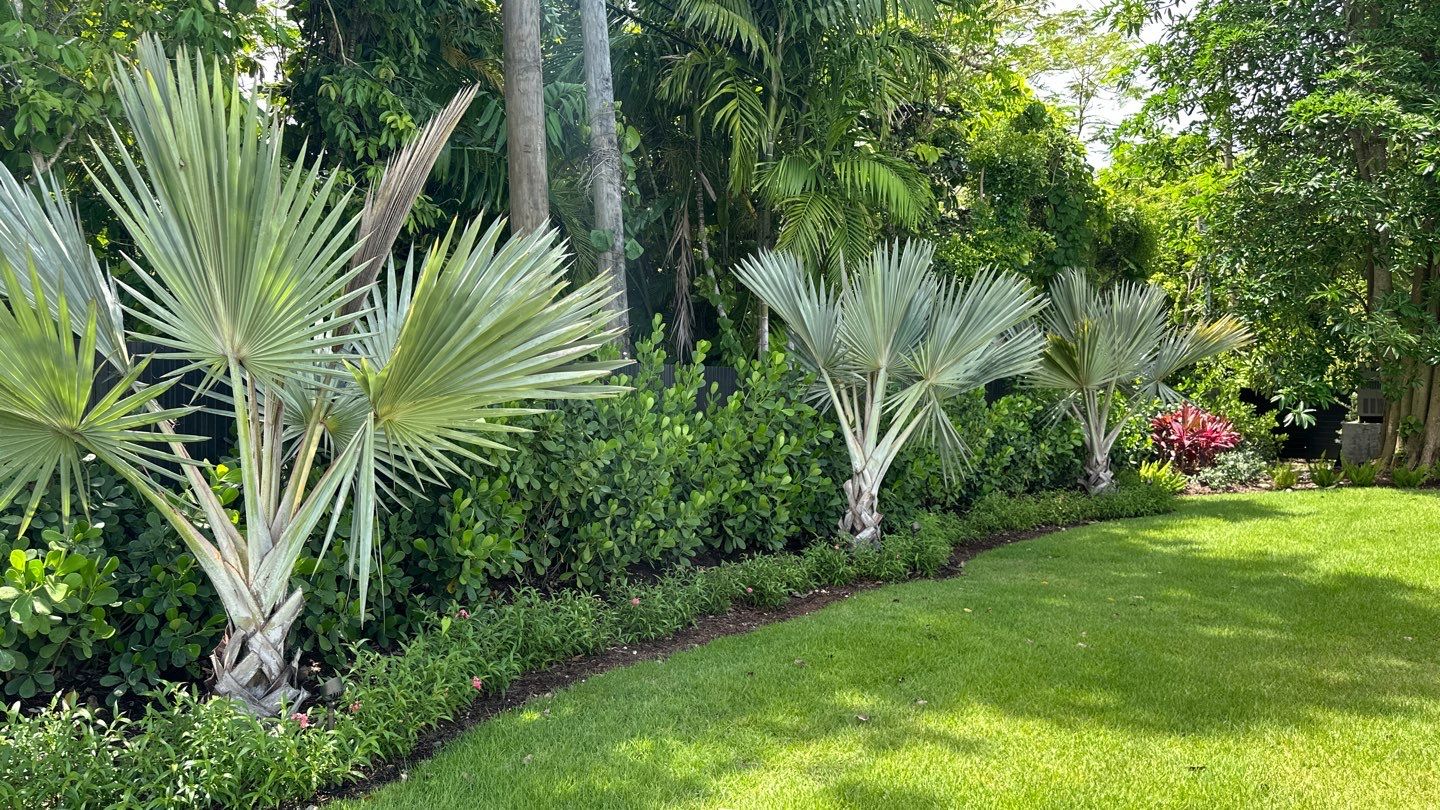 Pinecrest Landscape Upgrade from Minimum Requirements by Nature's Dream Landscape and Tree Service