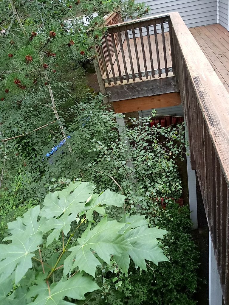 Deck Restoration using Armstrong-Clark Semi-Transparent Cedar 97229 by Paul Schopp