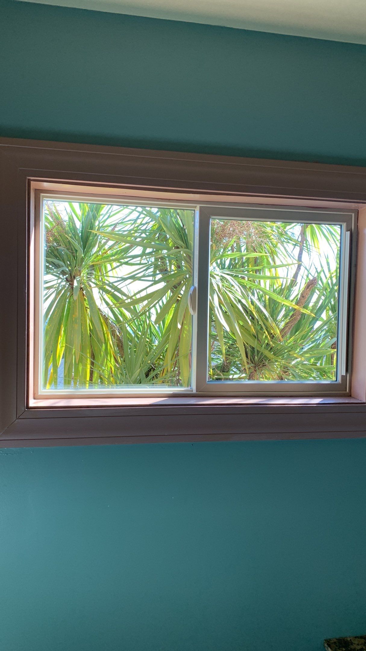 Linda Chrisman’s Home by SpotFree Window Cleaning