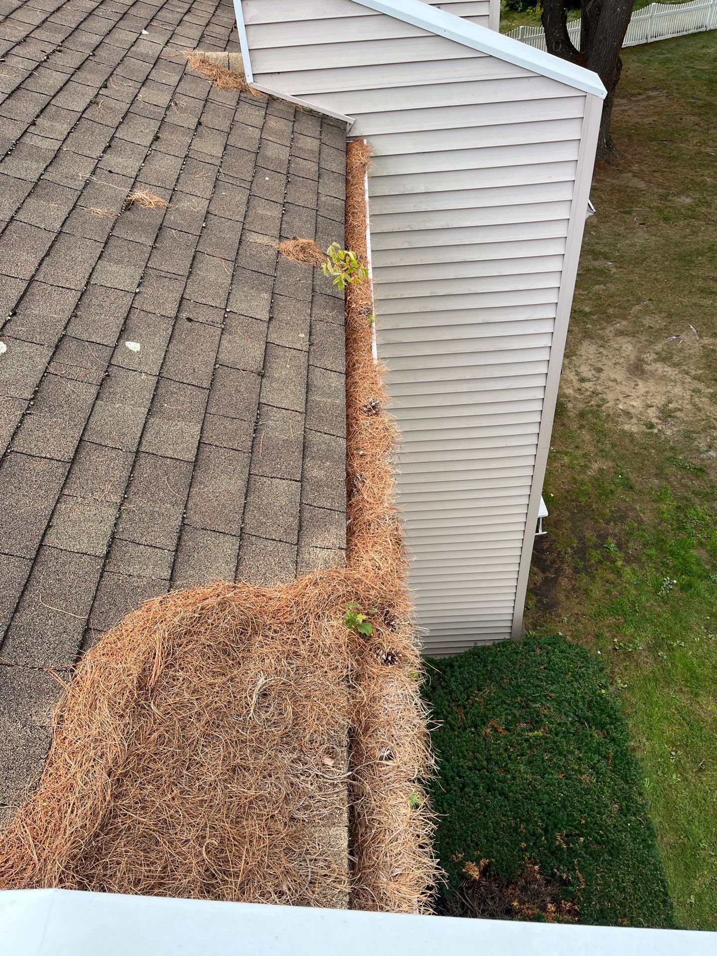 Commercial gutter cleaning Springfield before photo with filled gutters