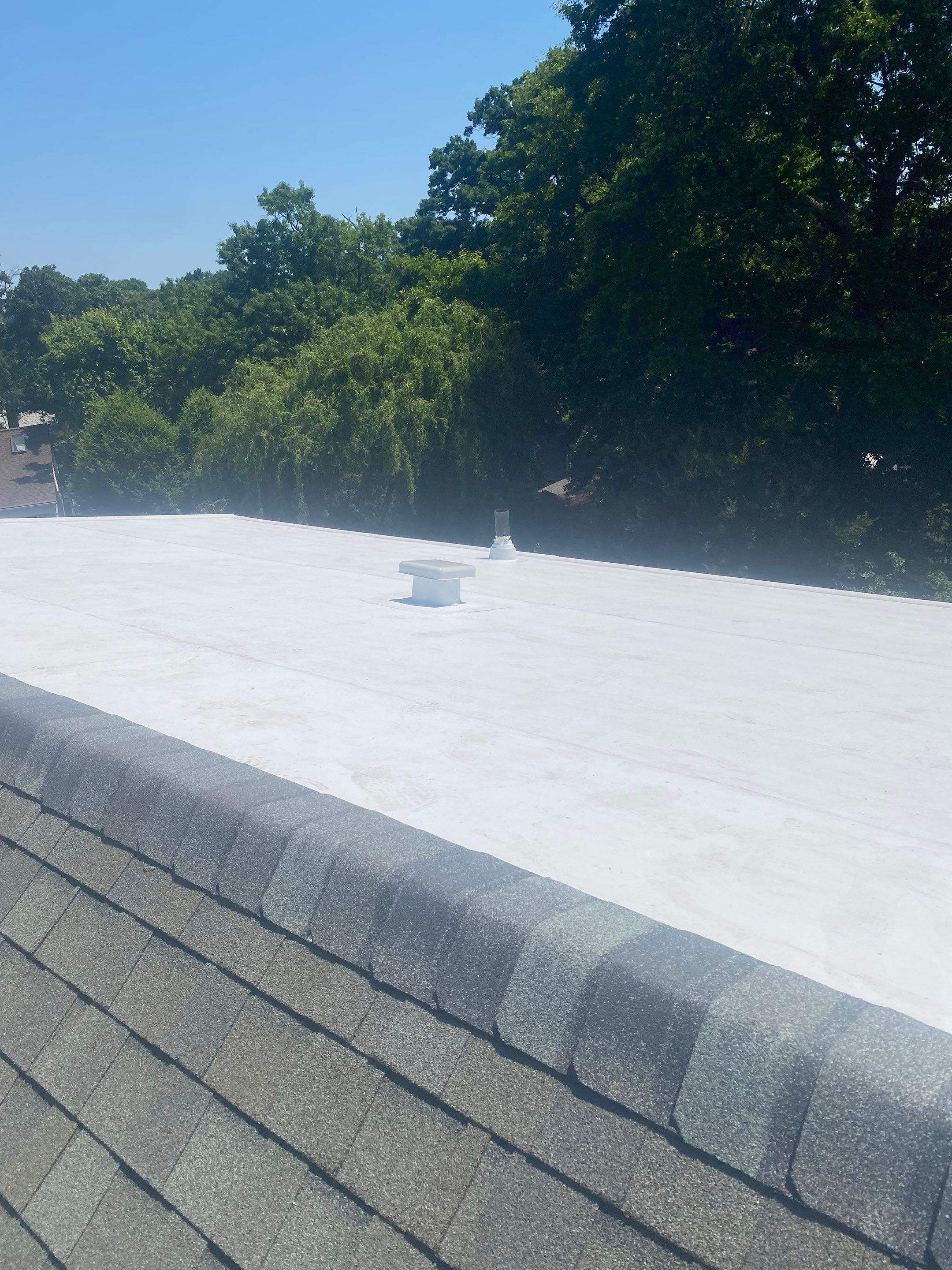 Alexandria: Mule Hide TPO Flat Roof by RM Banning, Inc.