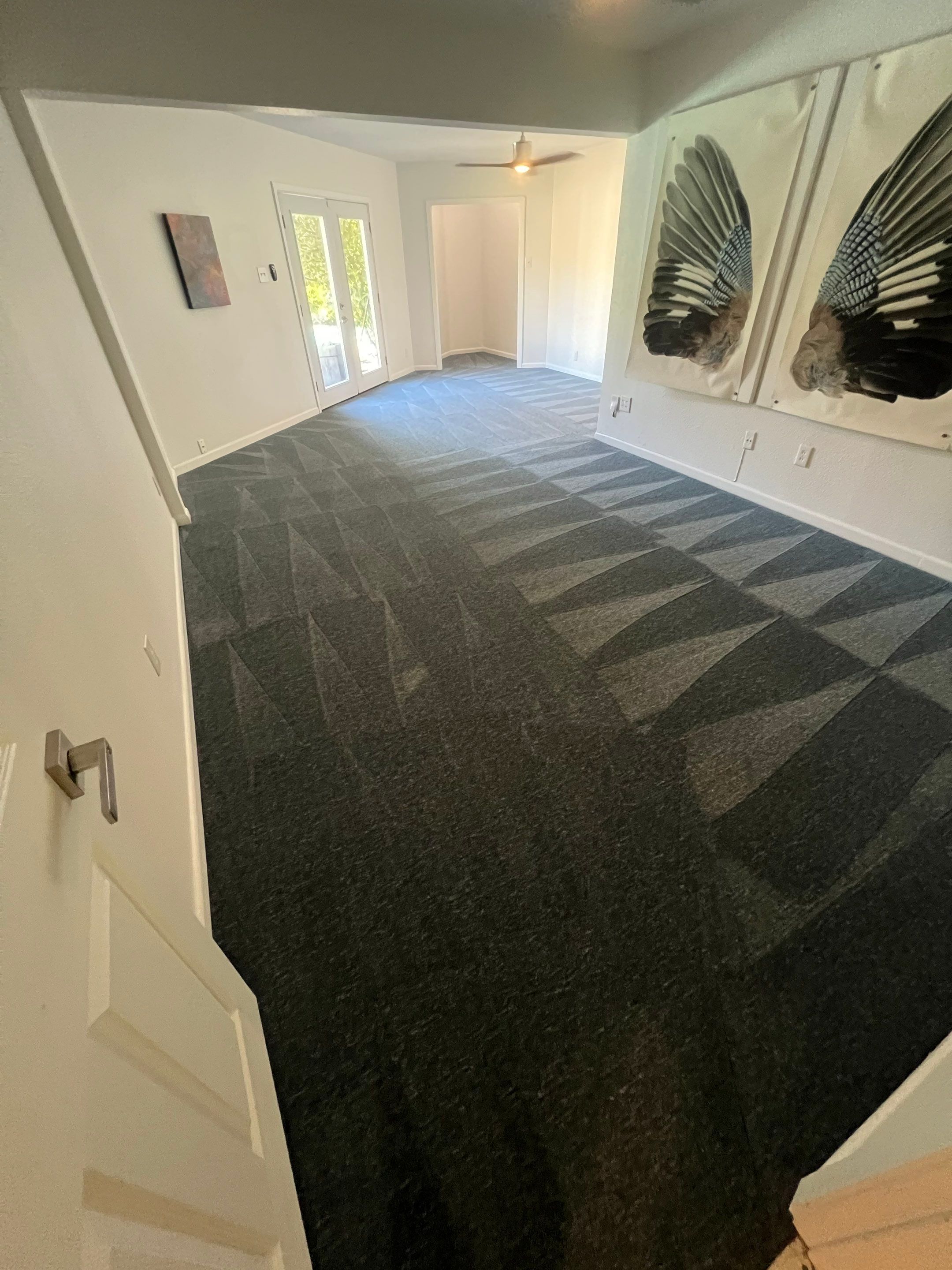 the service shown is carpet cleaning removing dirt and stains from the carpeted surface in the living space