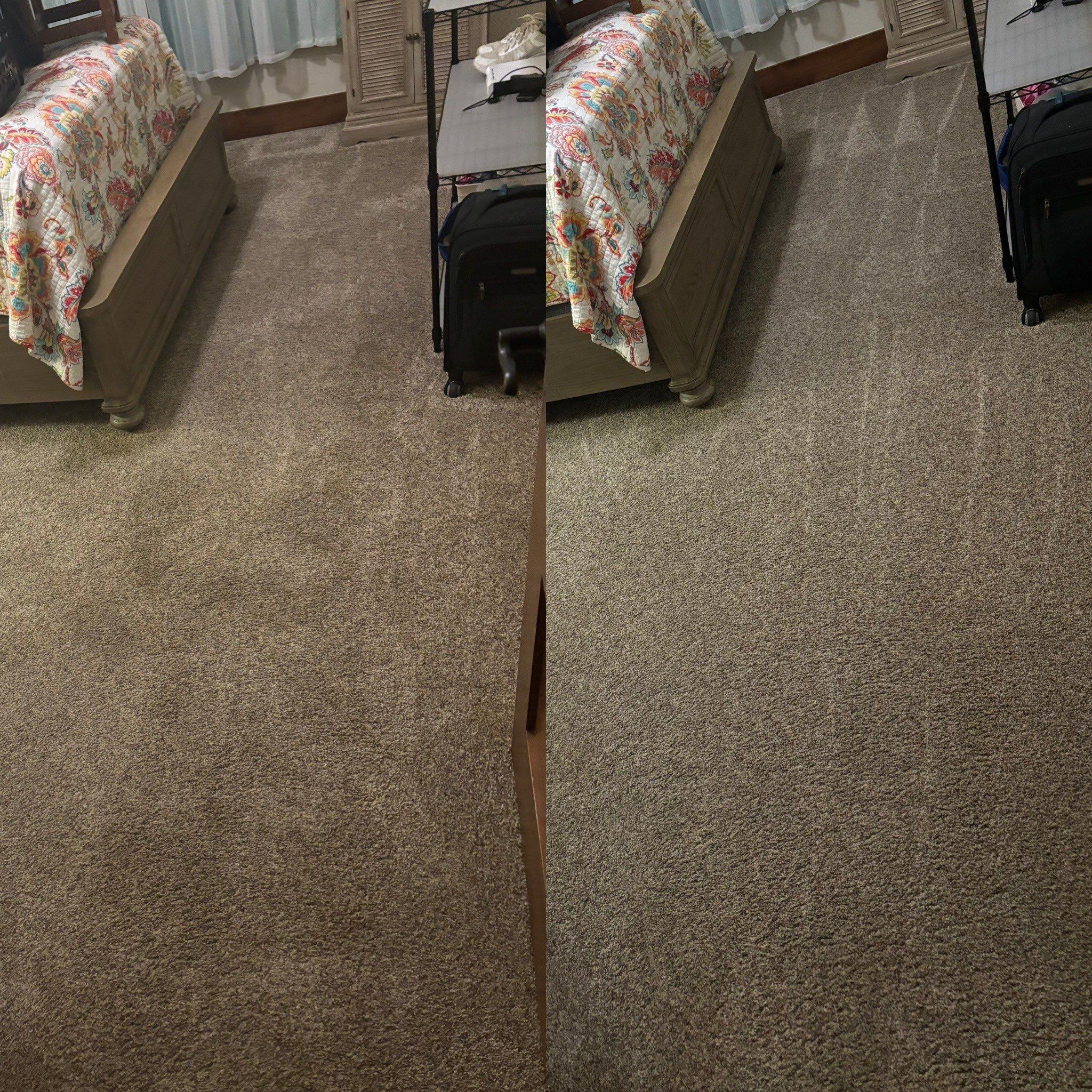 the service shown is professional carpet cleaning with noticeable differences in cleanliness and texture in the carpet areas