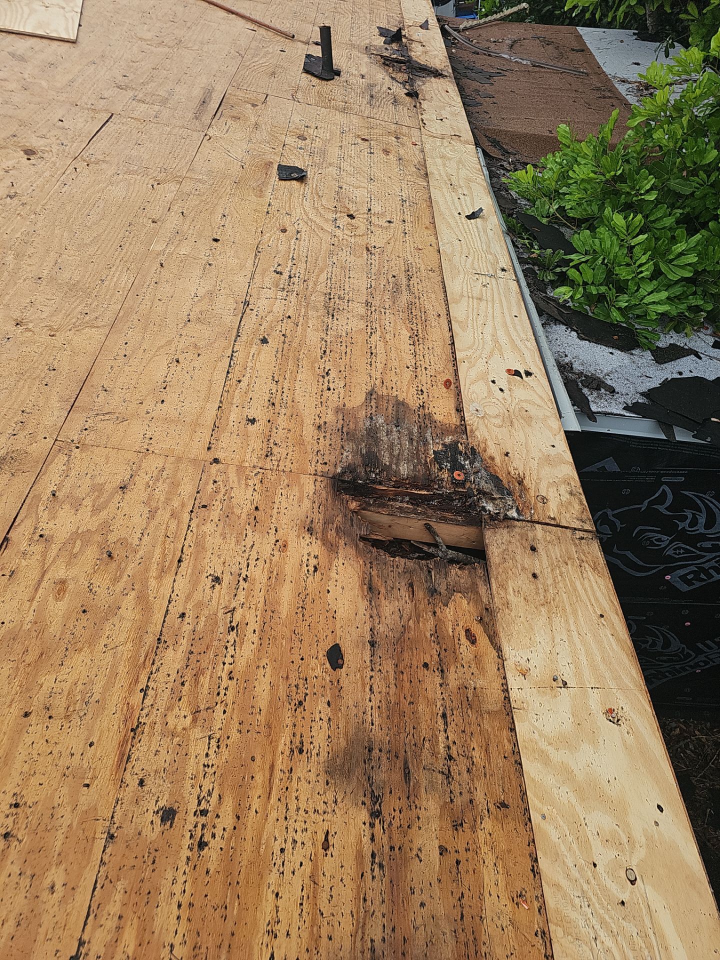 Project in Bradenton 34203 by Mitchell Roofing Company LLC 