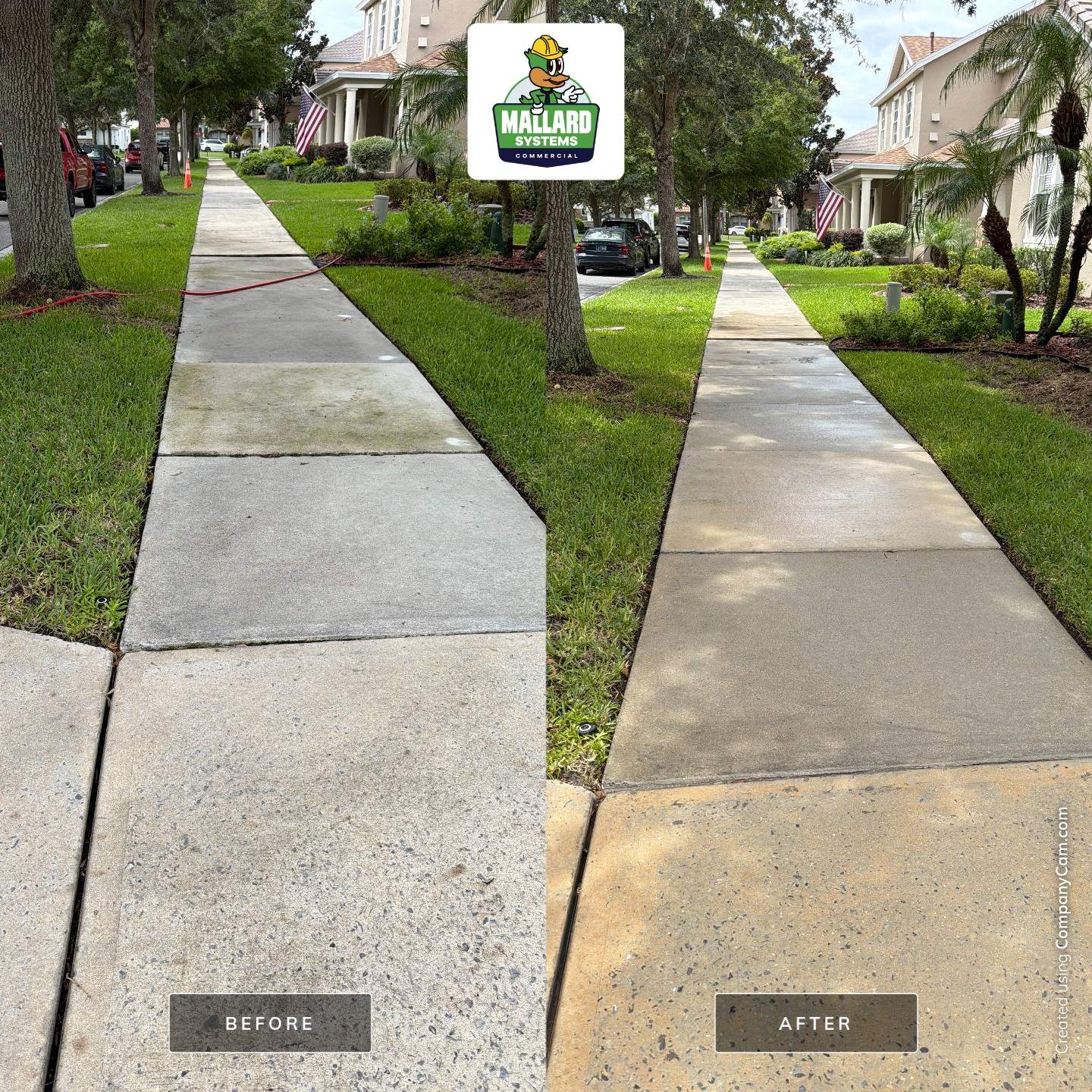 Full Exterior House Wash and Concrete Tile Roof Cleaning in Winter Garden by Mallard Systems