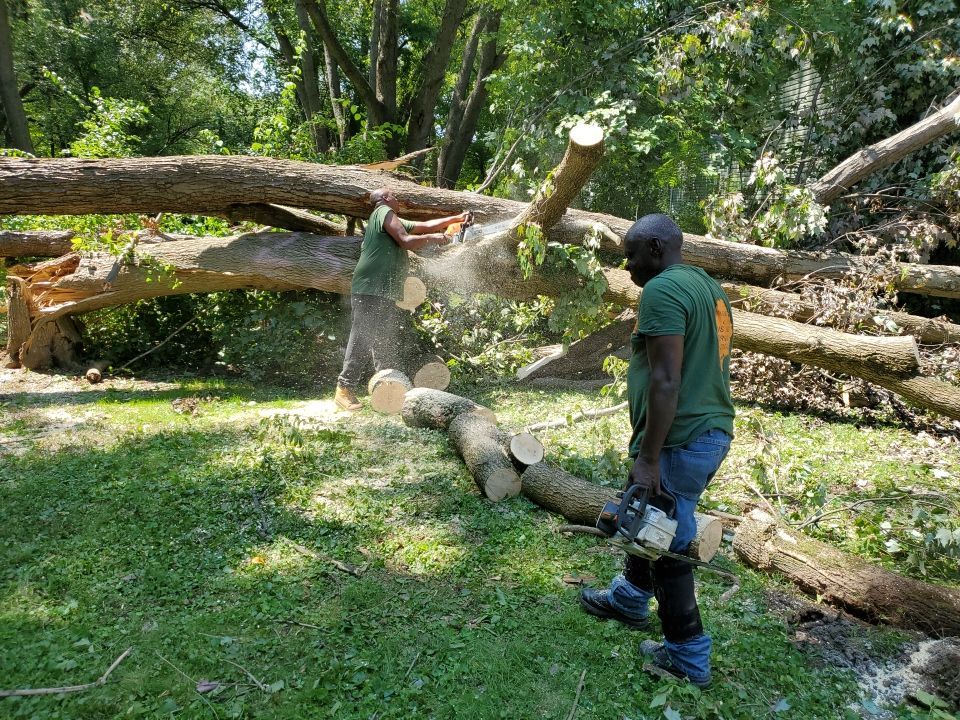 Storm Damaged Tree Removal  by Mike Jones & Sons Tree Service LLC 