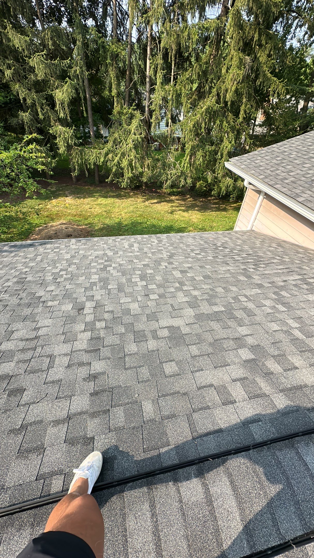 Vienna: CertainTeed Landmark Pro Architectural Shingles in Max Def Pewterwood by RM Banning, Inc.