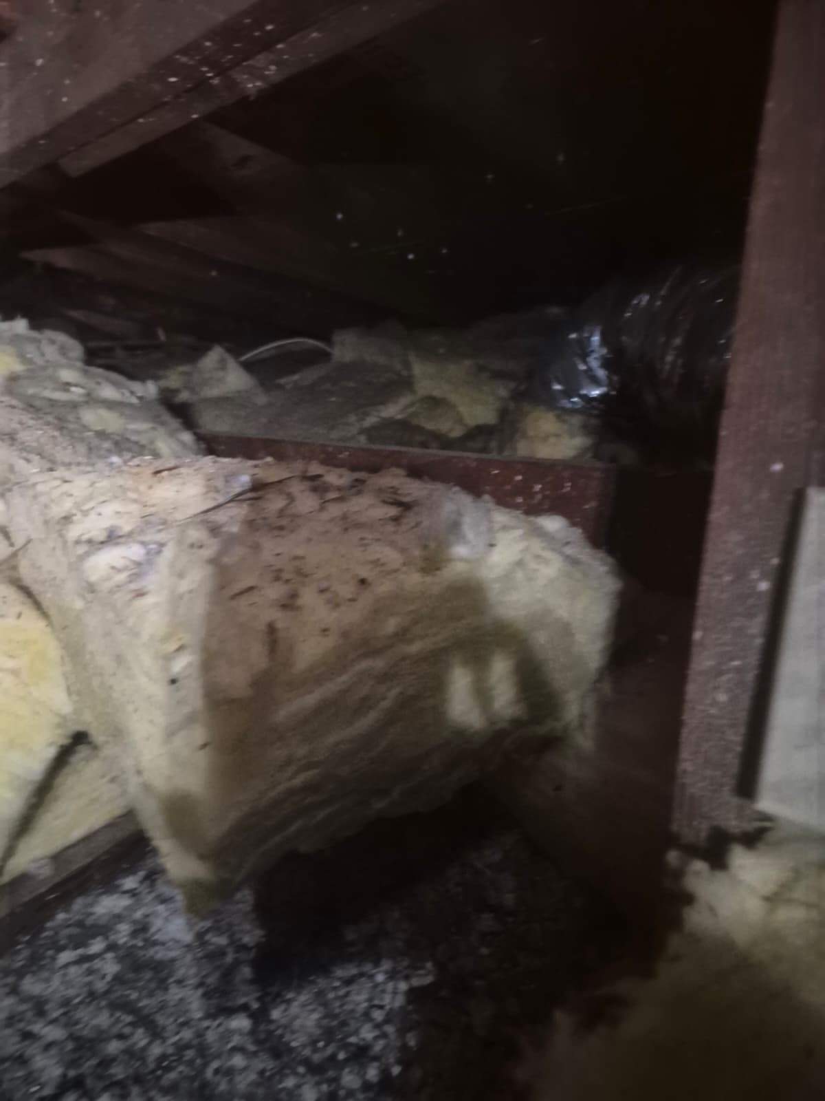 Project in Anaheim by Advanced Attic Solutions