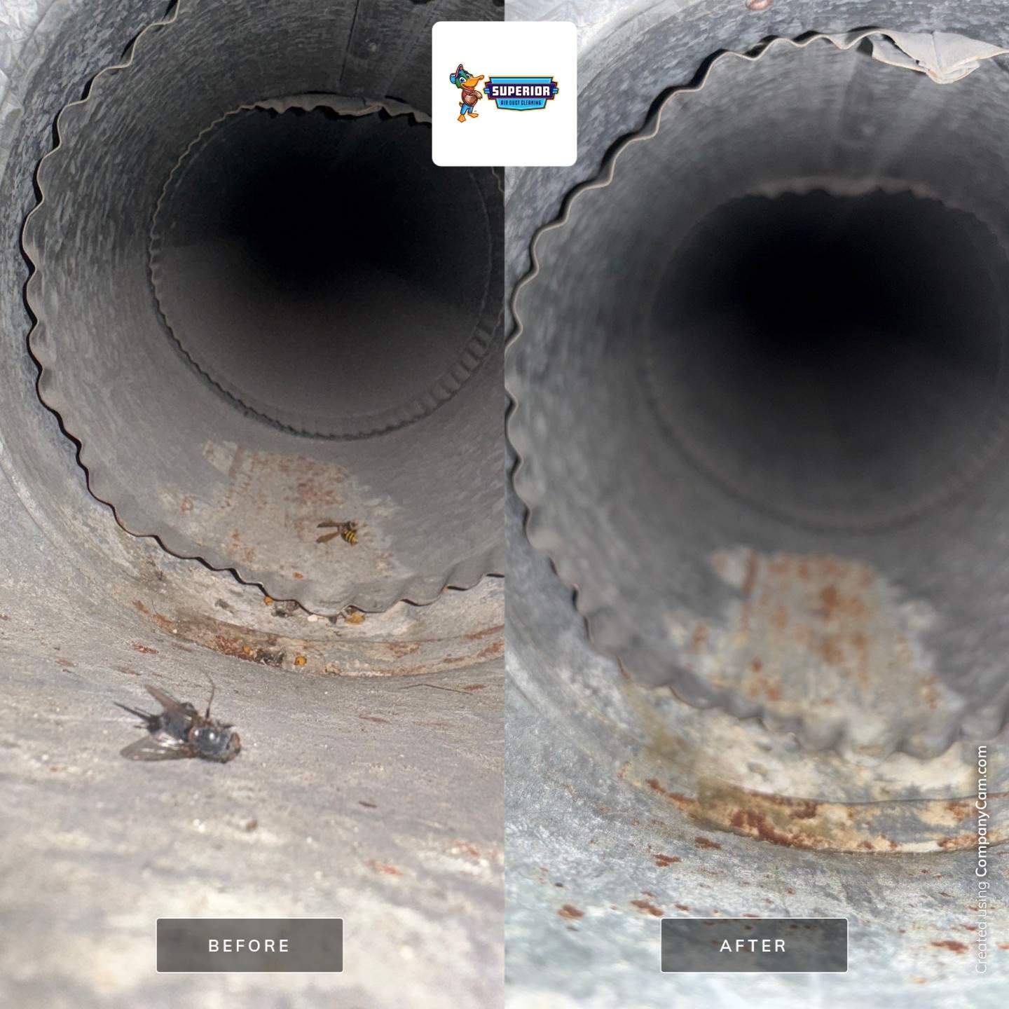 Air Duct Cleaning in Warren, OH by Superior Air Duct Cleaning