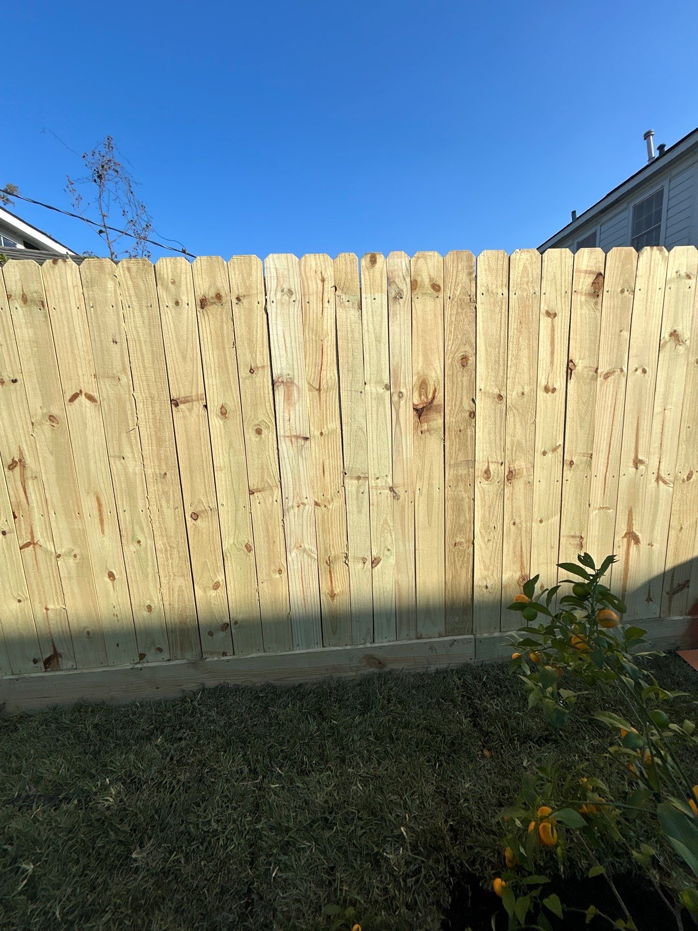 🌟 Mr. & Mrs. Tesla’s Complete Outdoor Makeover by Texas Urban Elements