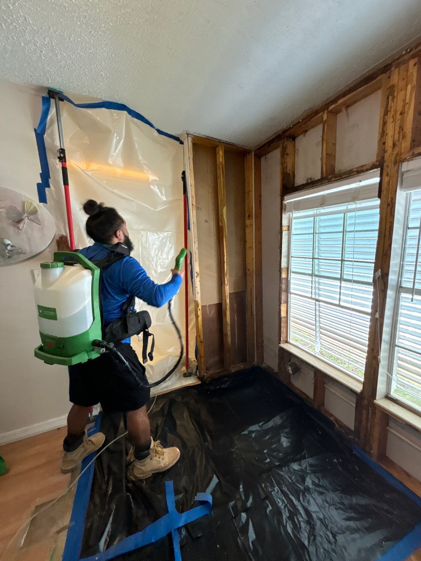 Mold Remediation Palmetto by Ampm Restoration Services 
