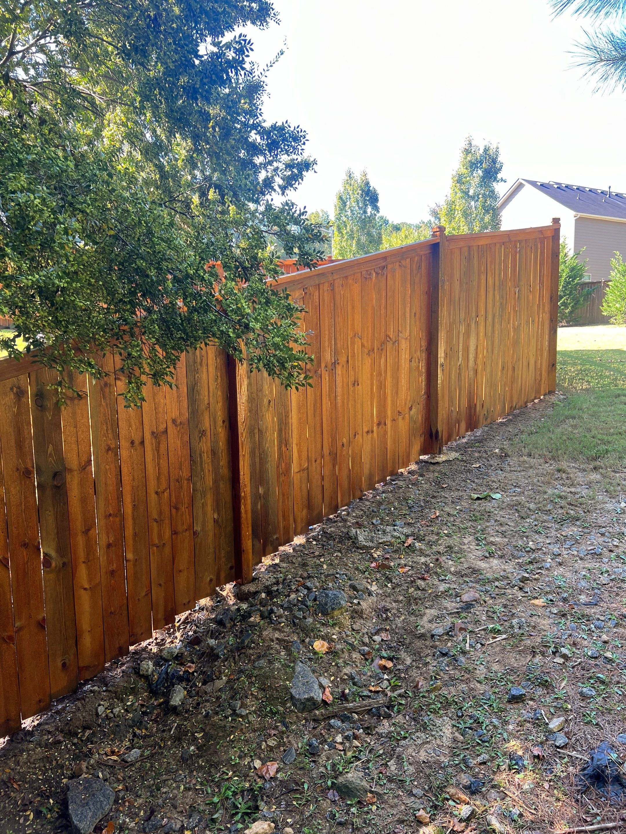 Fence Staining using Pecan by SSE by Titans of Timber Fence & Stain