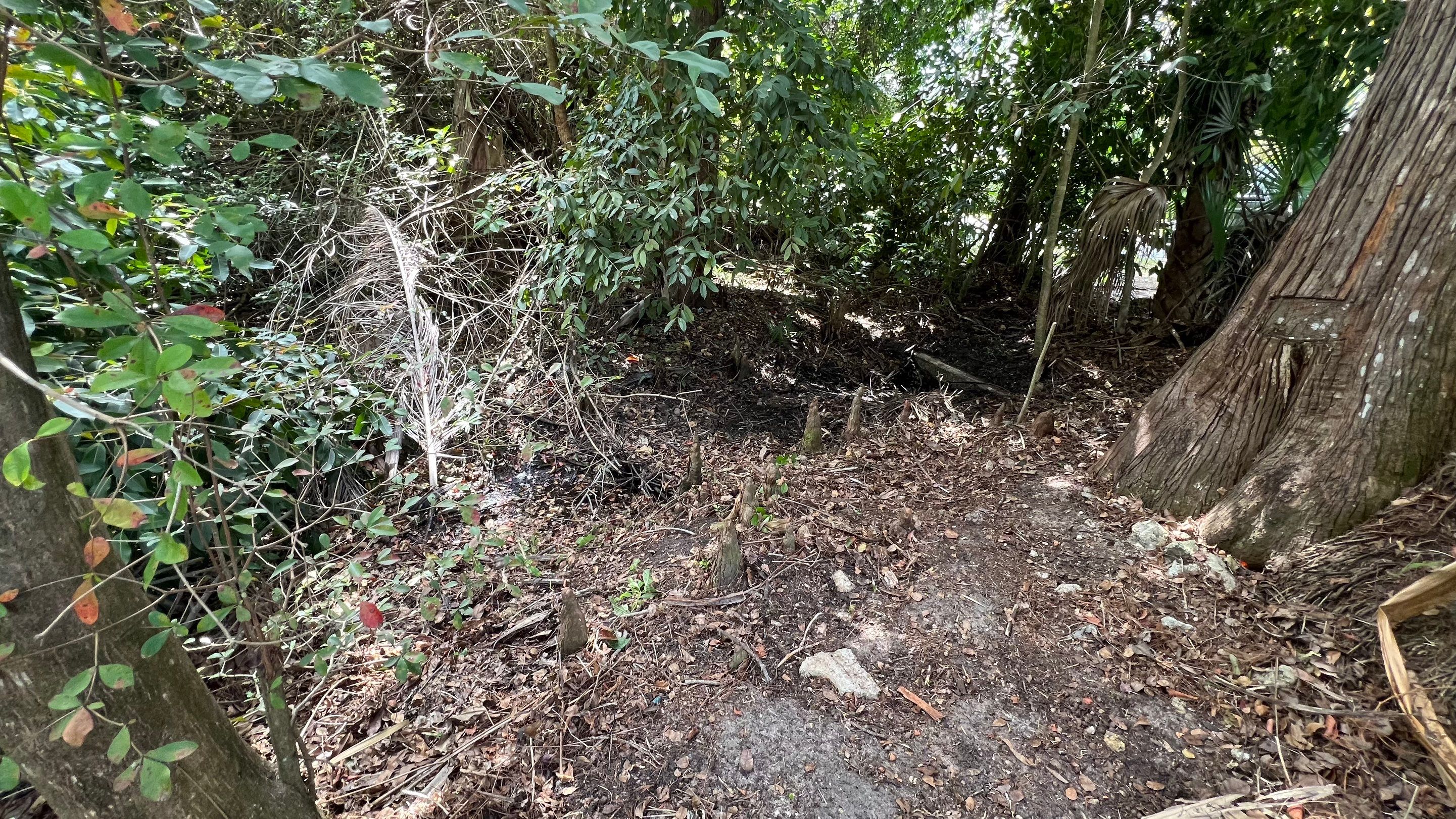 Naples Community Storm Water System Maintenance by APS Power & Water