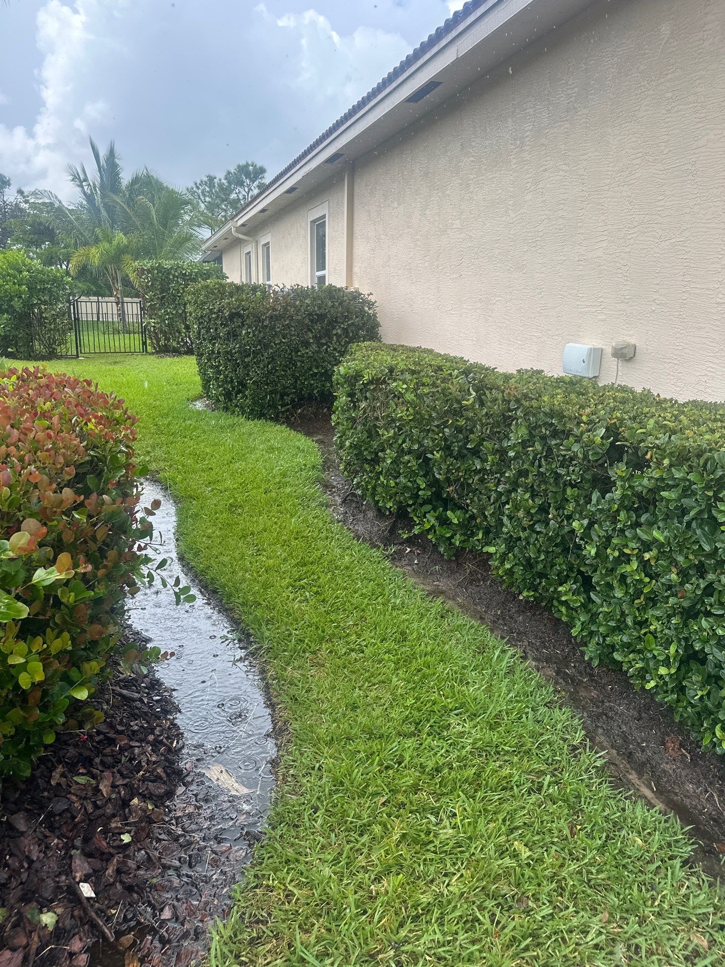From Overgrown to Picture-Perfect - Stuart Refresh by Alpha Zeta Enterprises Inc