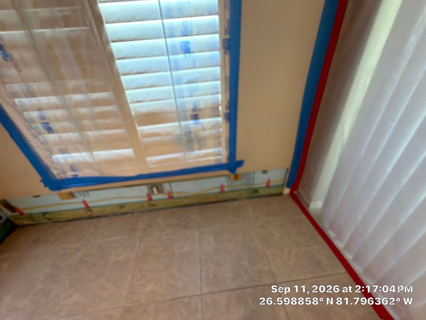 Fort Myers Water Damage Restoration and Professional Mold Remediation by Microscope