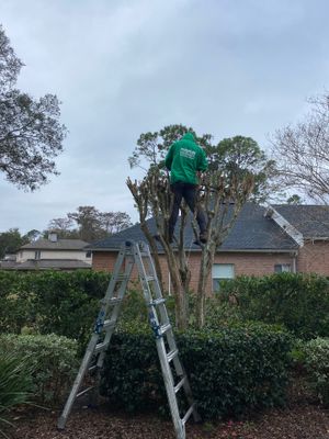 Deerwood Residence | Tree Trimming