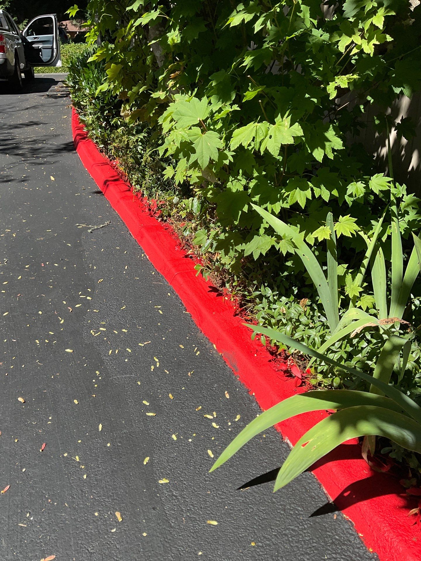 Curb Repaint | Seattle  by Jireh Asphalt & Concrete Inc 