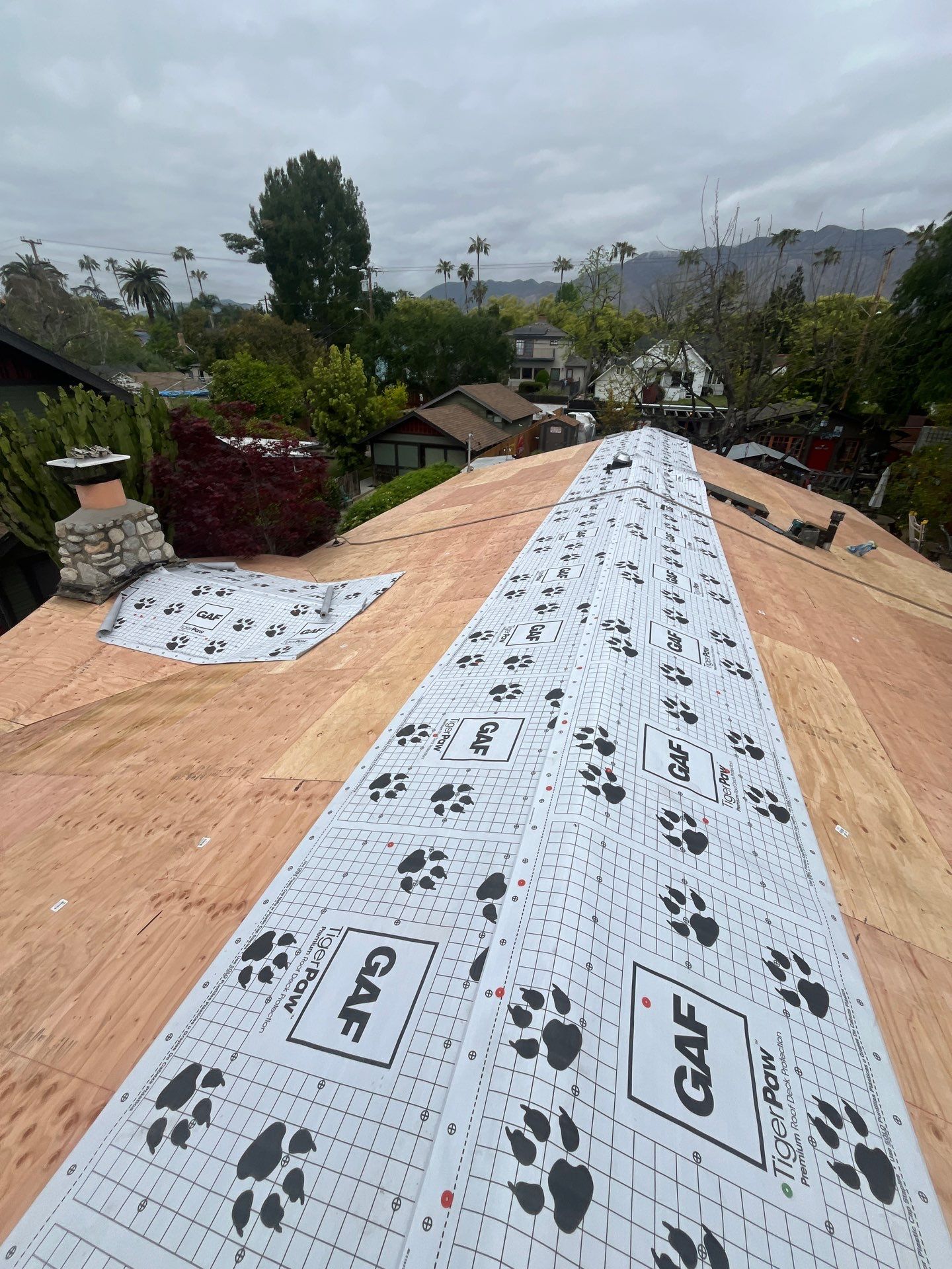 Paloma Project by Green Ladder Roofing Company