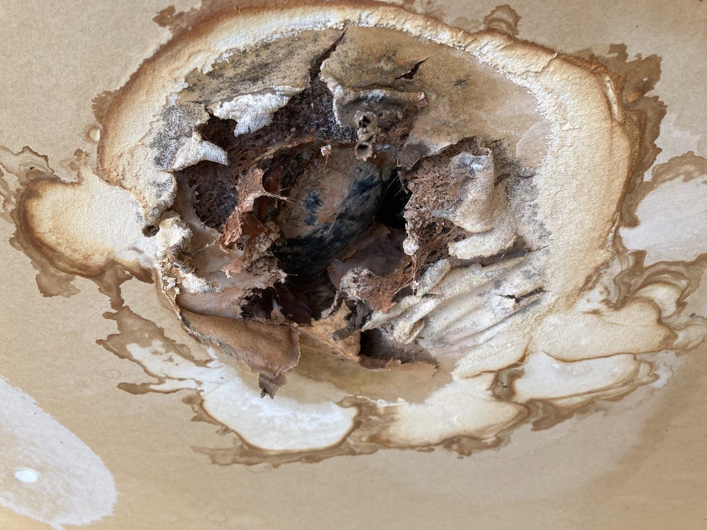 Water Damage in Garage by Accountable Home Services