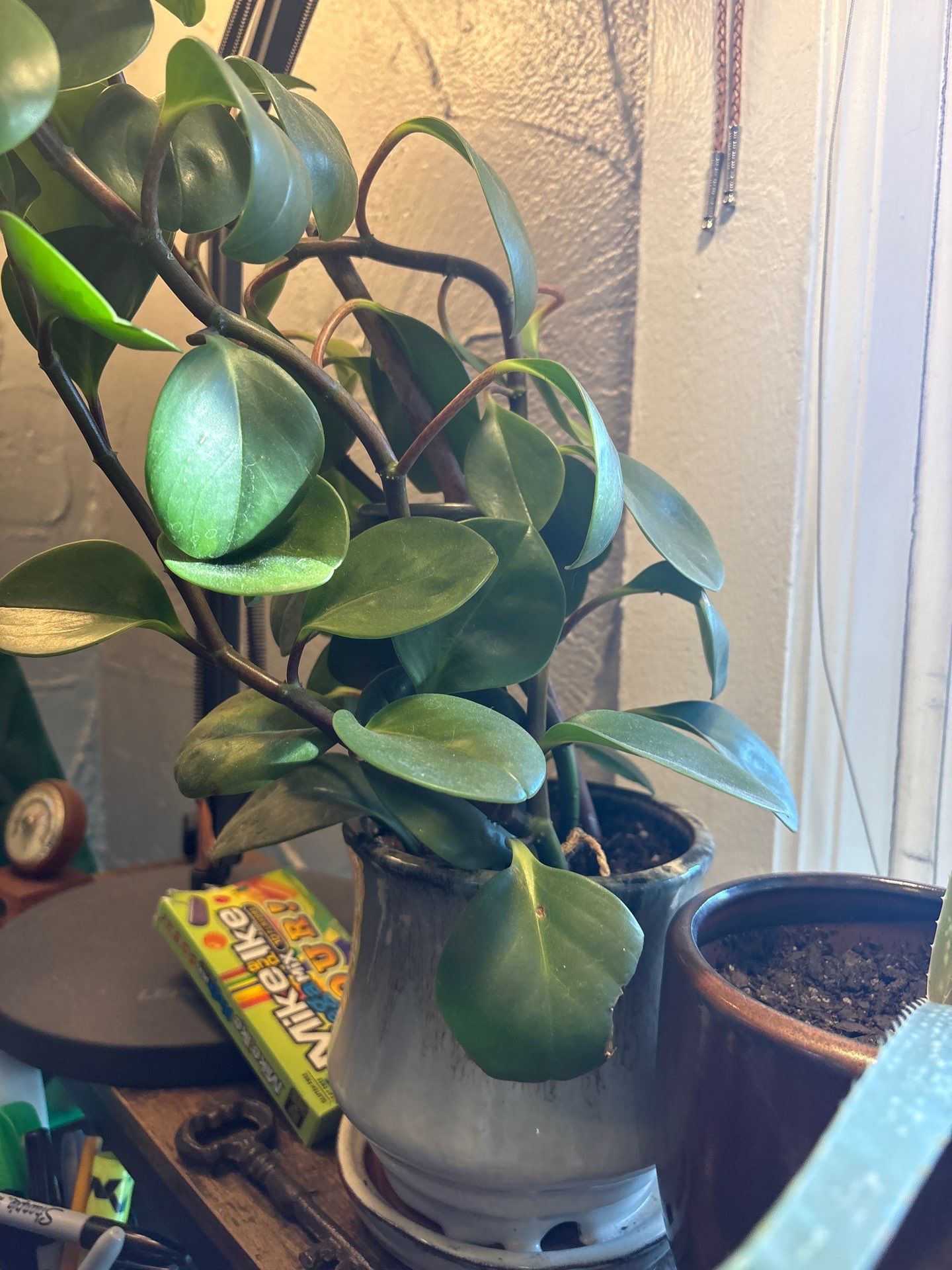 Drew's House by CompanyCam | Account Management Demo Account