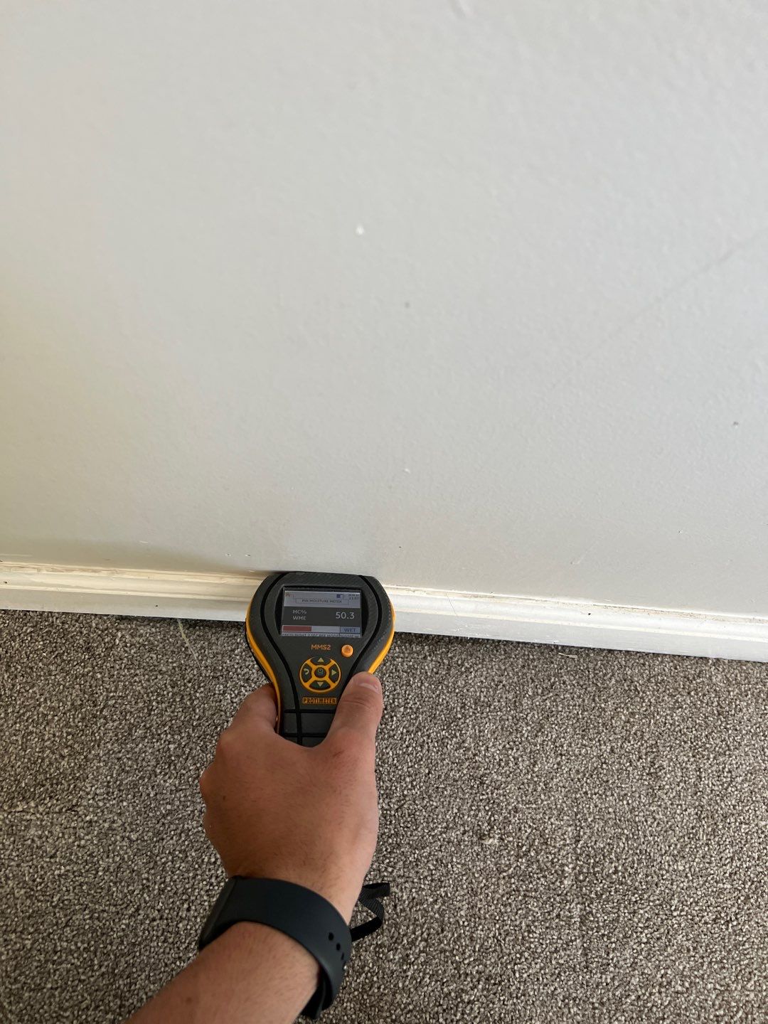 Project in Novi by EzDry Water Mitigation & Property Restoration