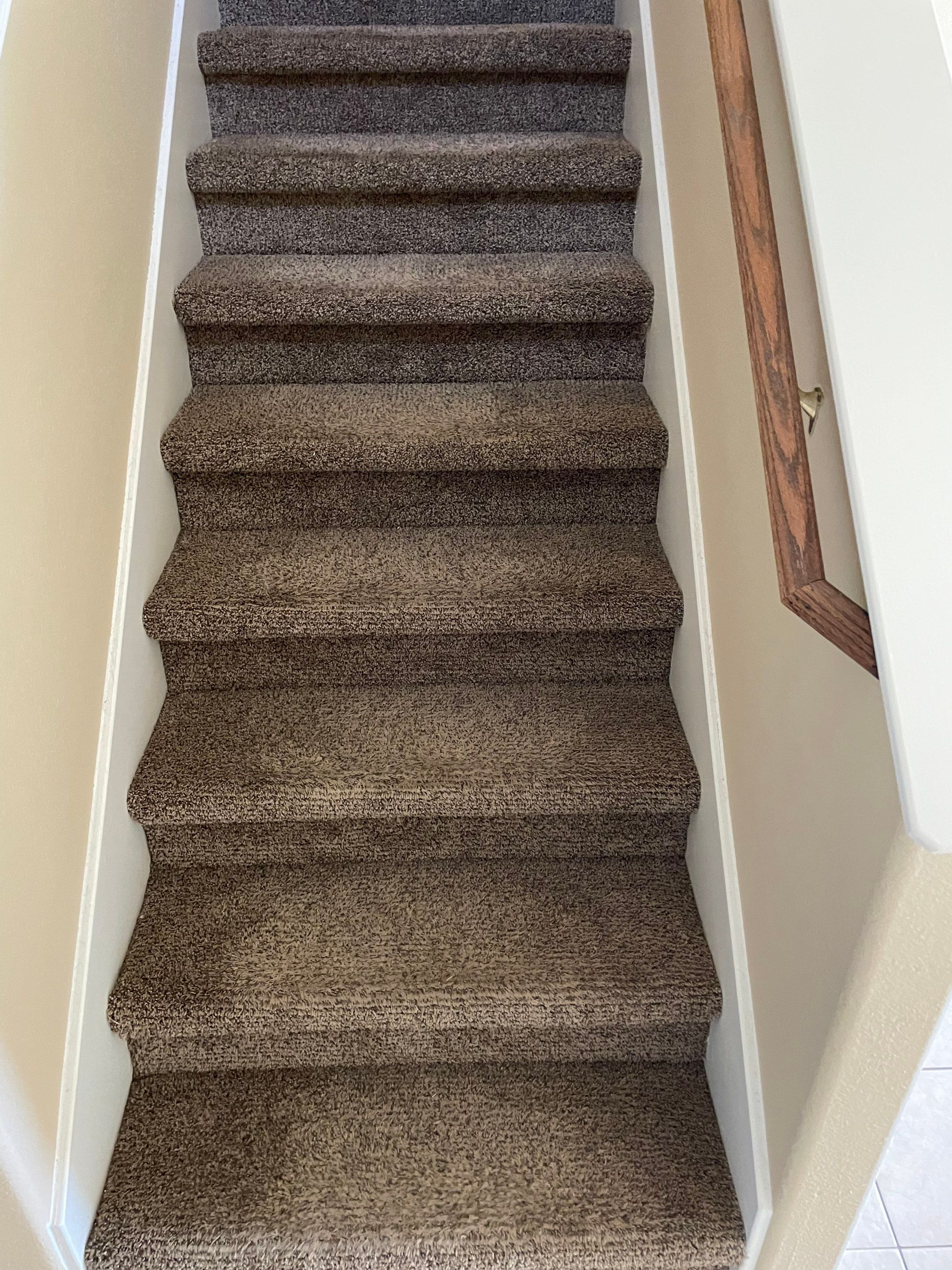carpet cleaning on staircase deep clean dirt removal refreshing fibers restoring look