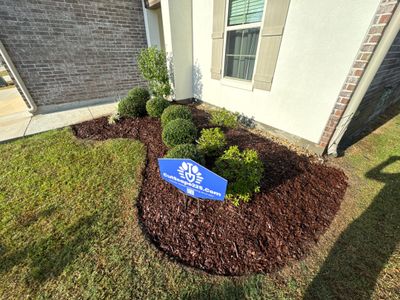 LANDSCAPE SERVICES: DEMO / BED PREP / CUT IN BED EDGES / MULCH INSTALL using BROWN MULCH "BARK BRITE"