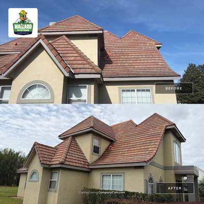 Roof Cleaning