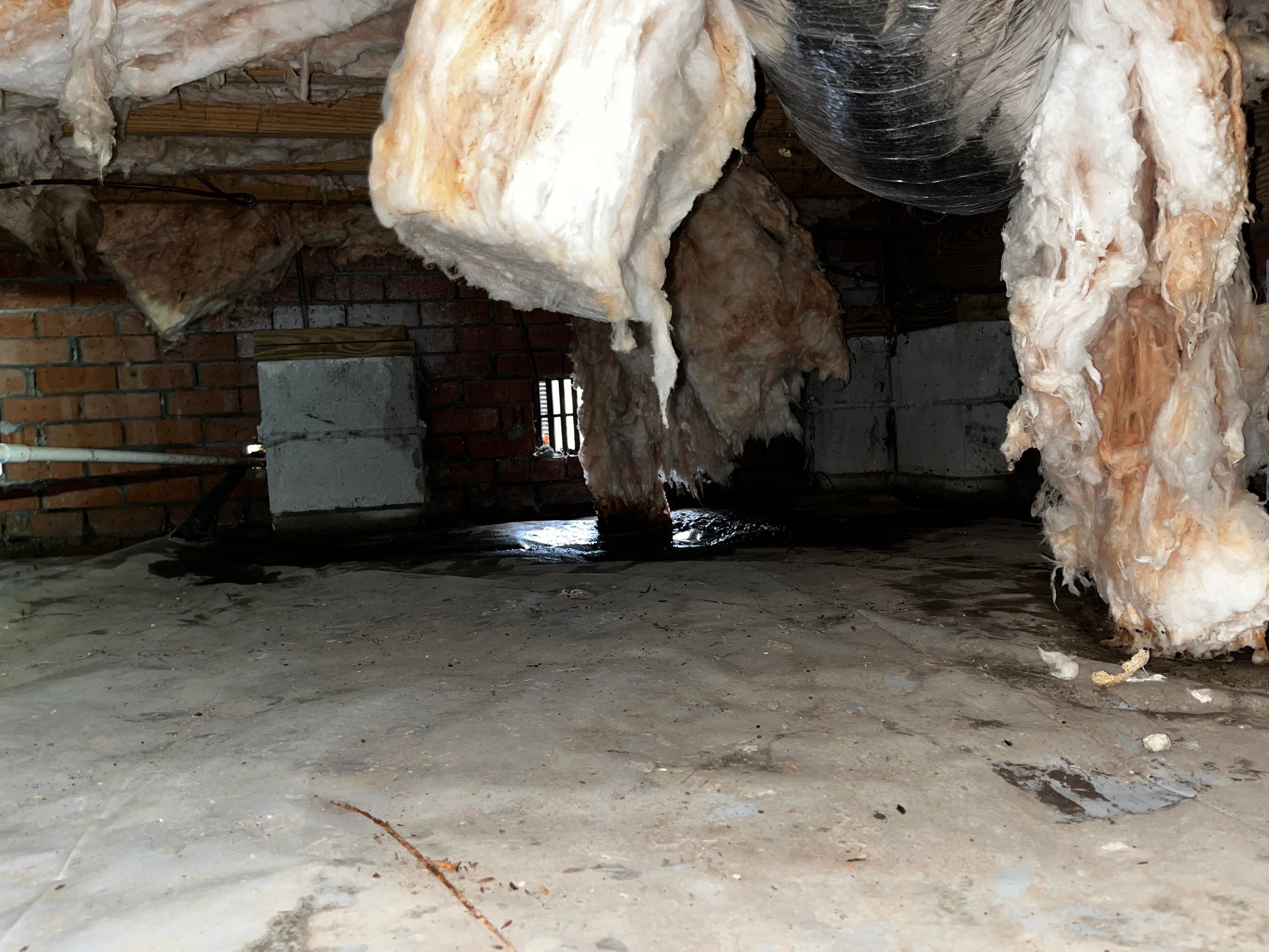Impact Choice Encapsulation with French Drain and Crawlspace Doors by Impact Crawlspace