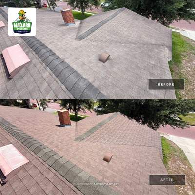 Shingle Roof Cleaning