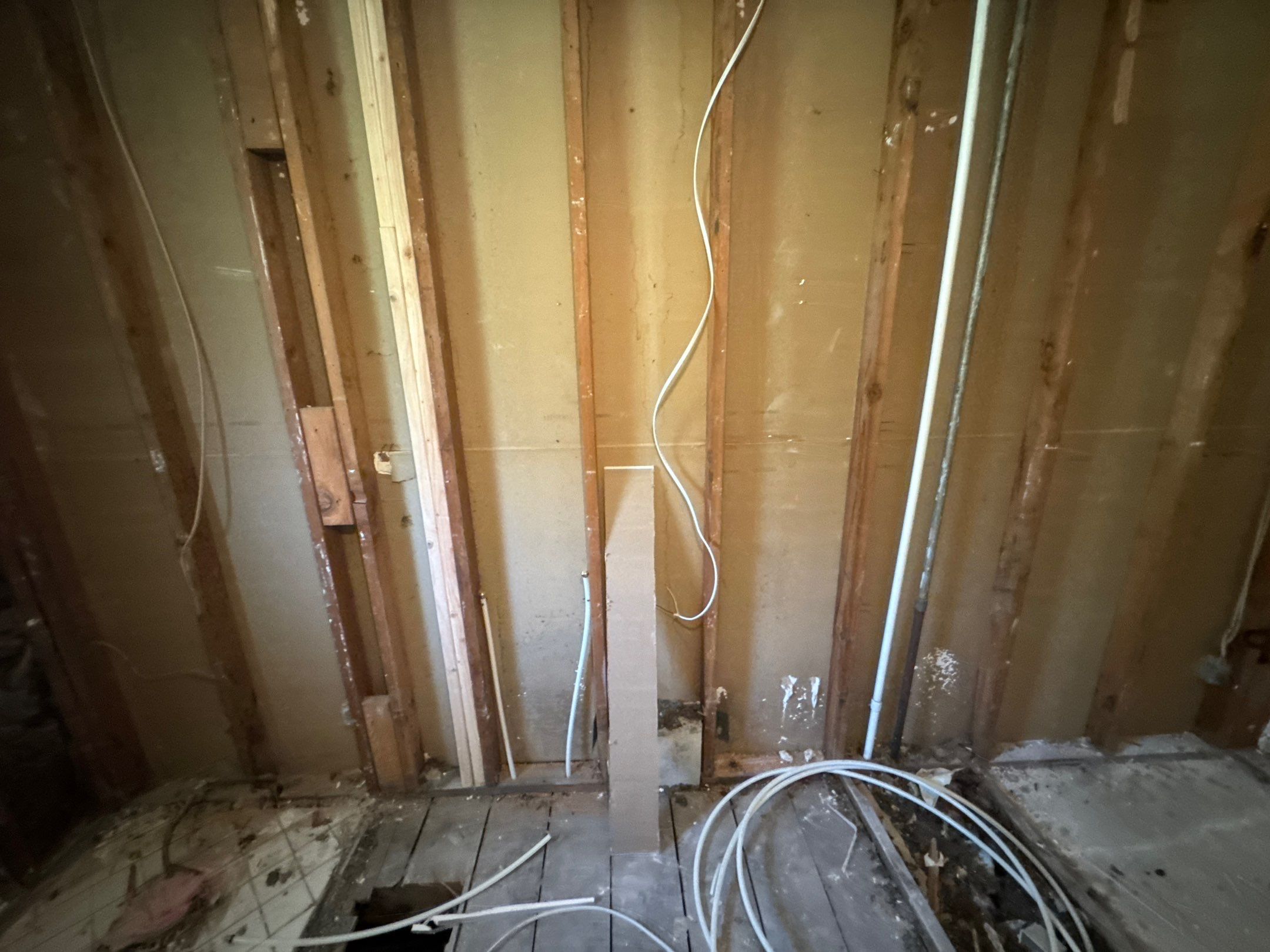 Layout-Loving Kitchen: Premium Cabinets Delivered in 7 Days Flat by Tibi Soli LLC