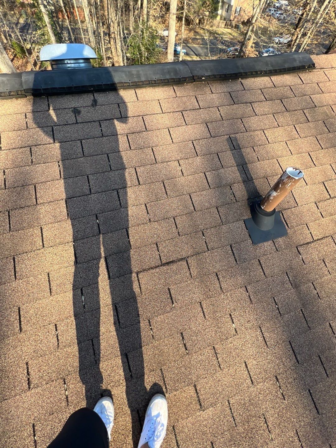 Springfield: CertainTeed Landmark Pro Designer Shingles in Max Def Pewterwood by RM Banning, Inc.