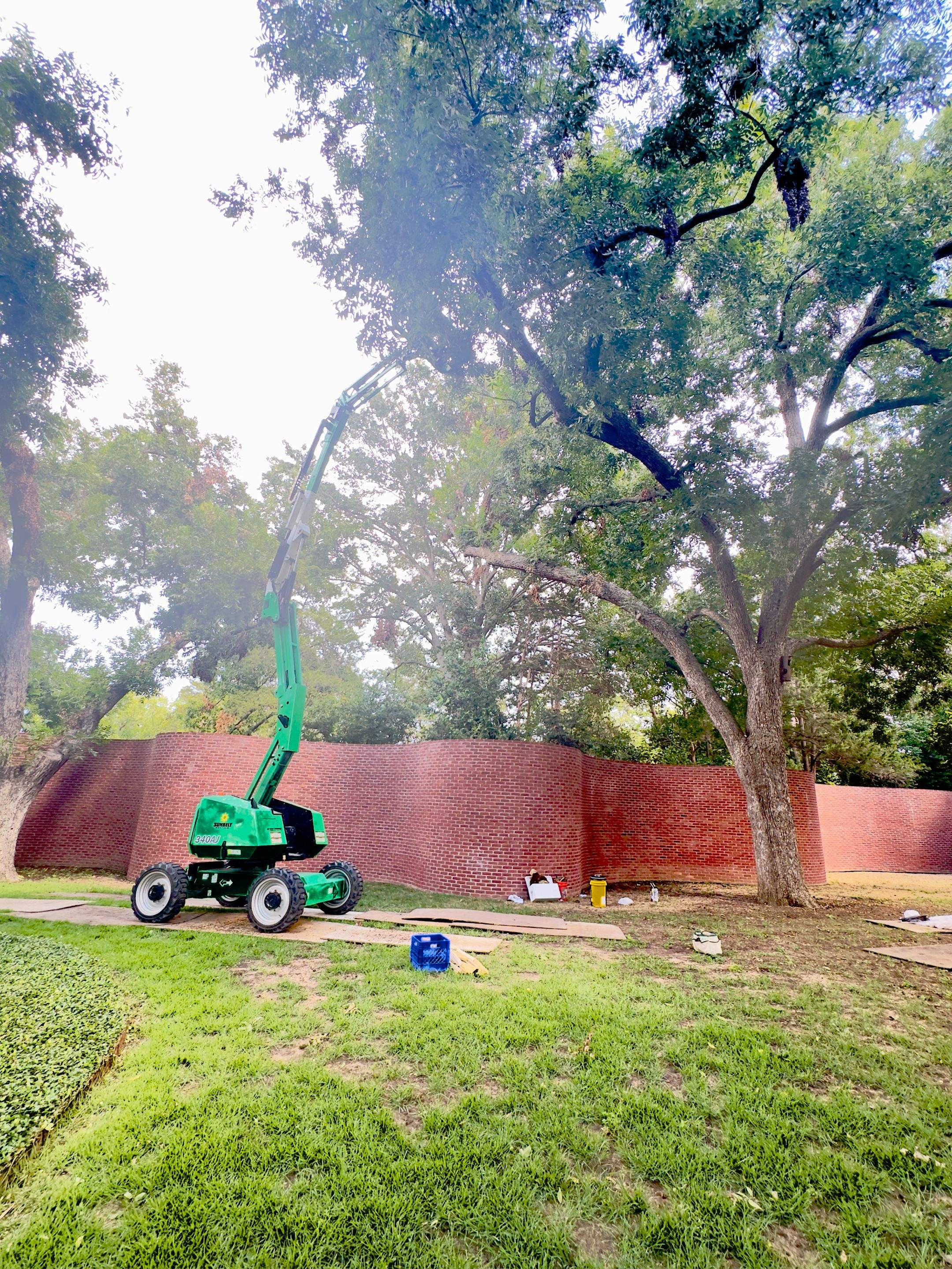 Open-Air Massive Colony by Rockwall Honey Bee Company
