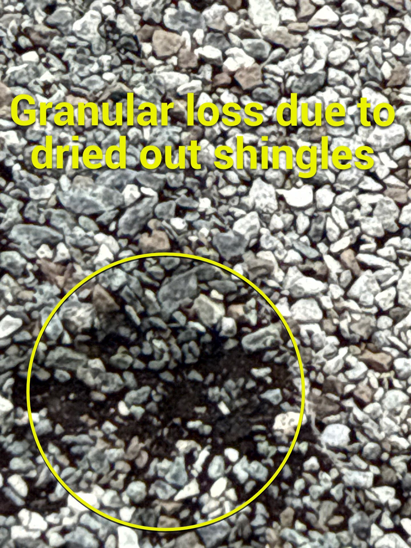 Project in Richmond by Roof Maxx of Midlothian