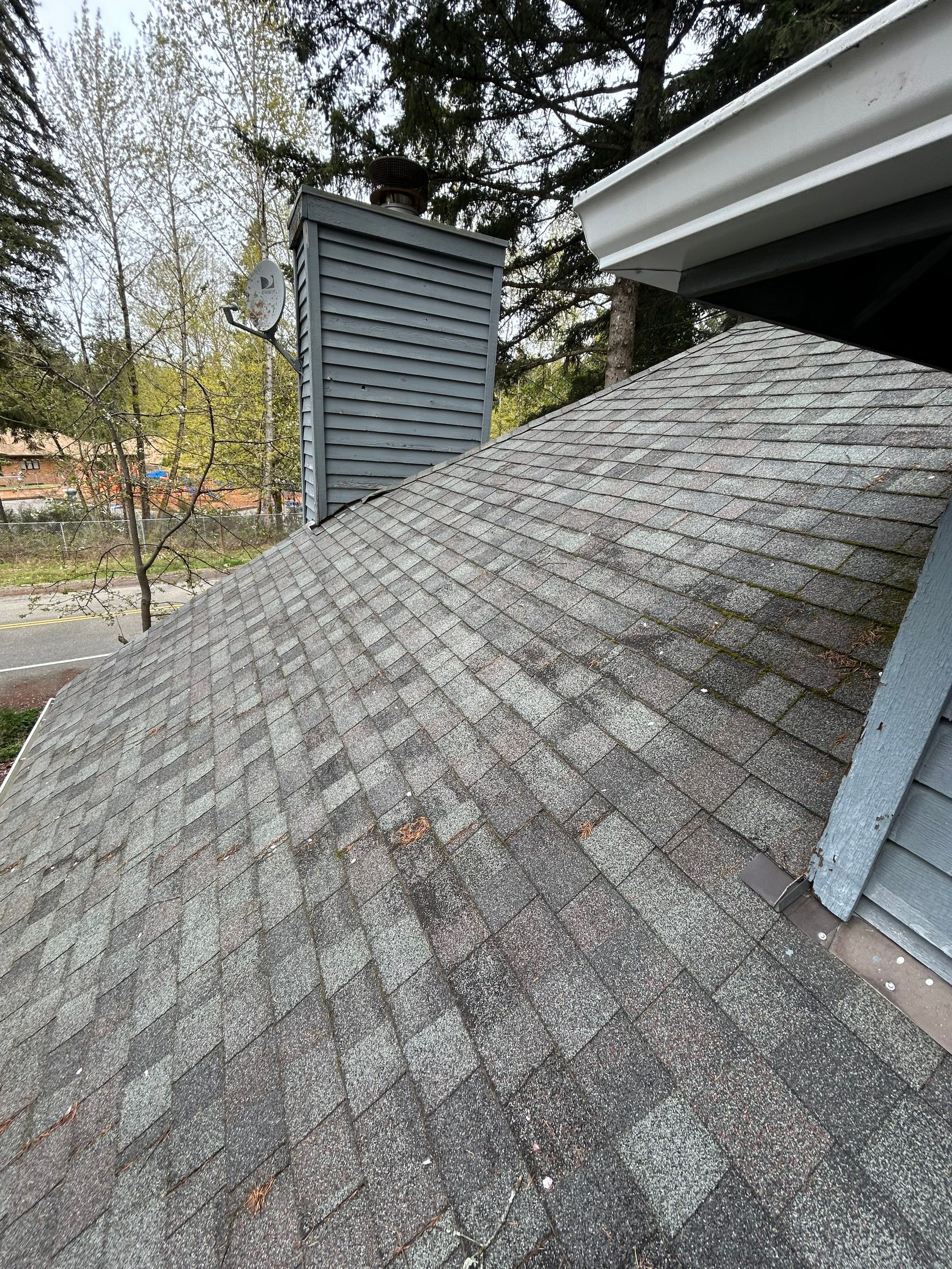 Project in Redmond by Peaks and Valleys Construction