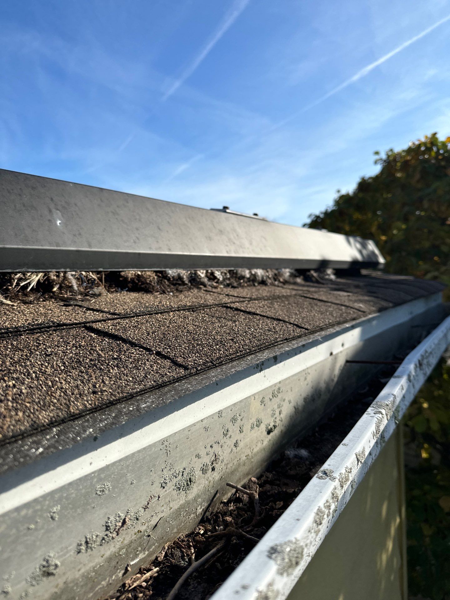 Shakewood Shingles by Reimagine Roofing