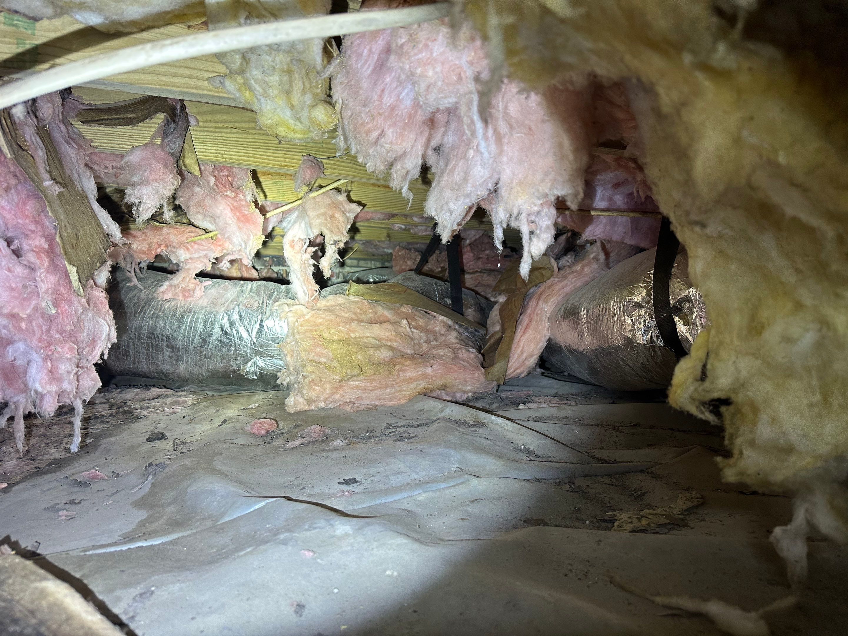Impact Choice Encapsulation on a low crawlspace. by Impact Crawlspace