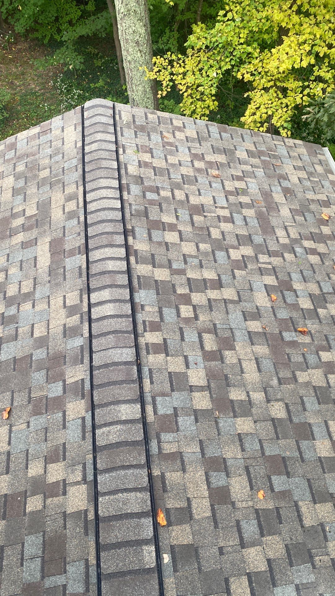 Springfield : Residential Roof Replacement with CertainTeed Landmark Pro in Max Weathered Wood  by RM Banning, Inc.