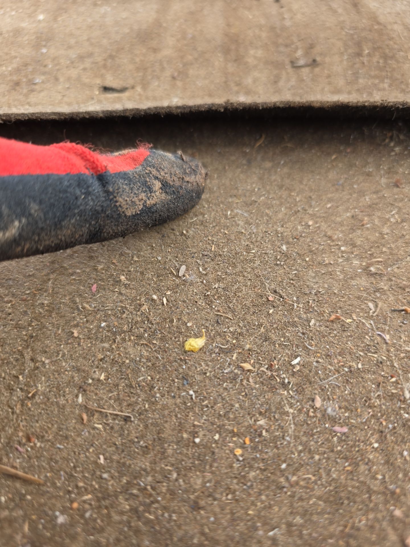 Protect Your Investment: Arizona Roofing Company's Expertise at Work! by Weather-Tite Roofing